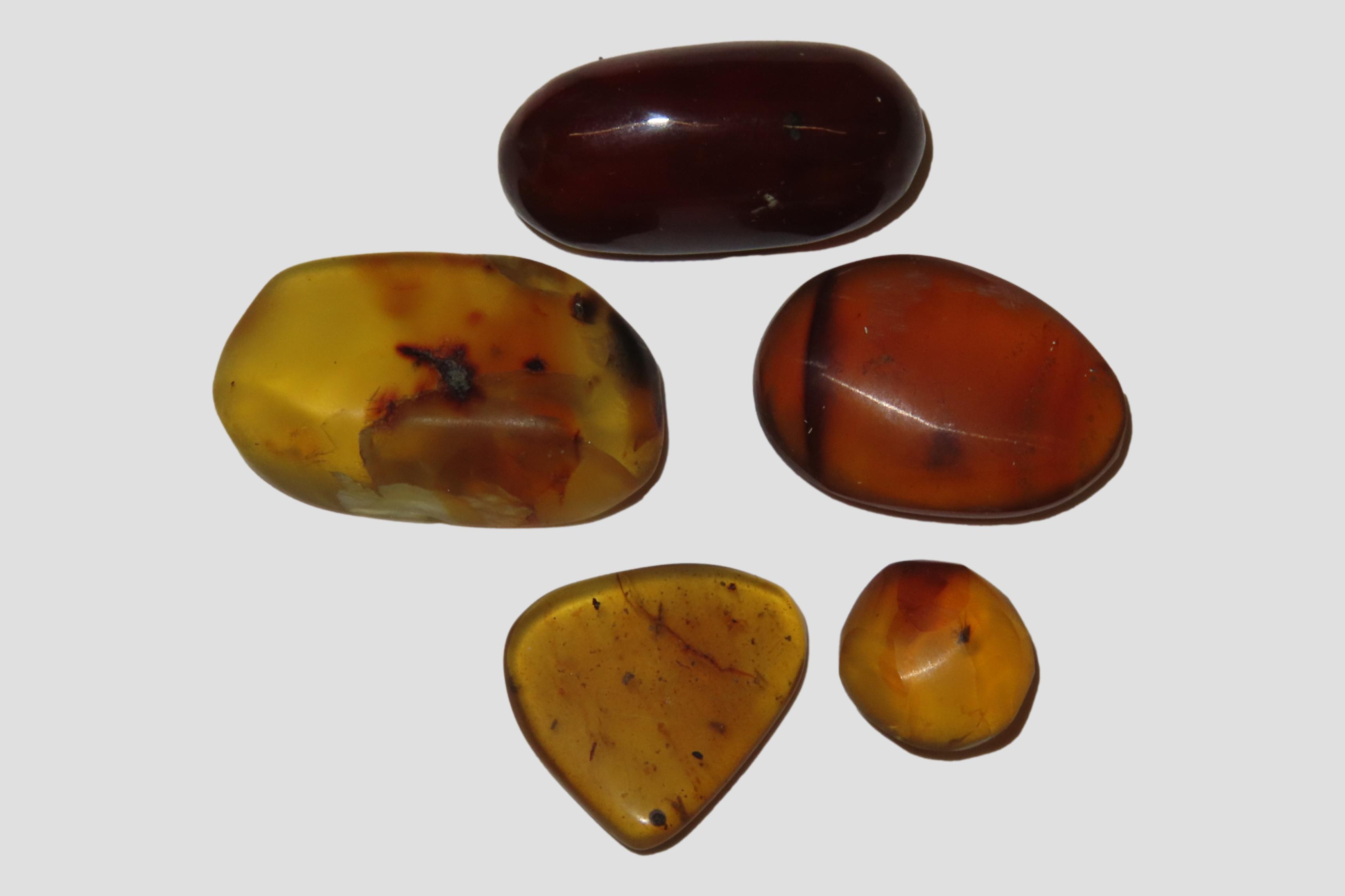 Lot of Fossil Amber, some with small bugs or partial bugs that were partially eaten by another insect. 100 Million Years Old, from the Hukaw