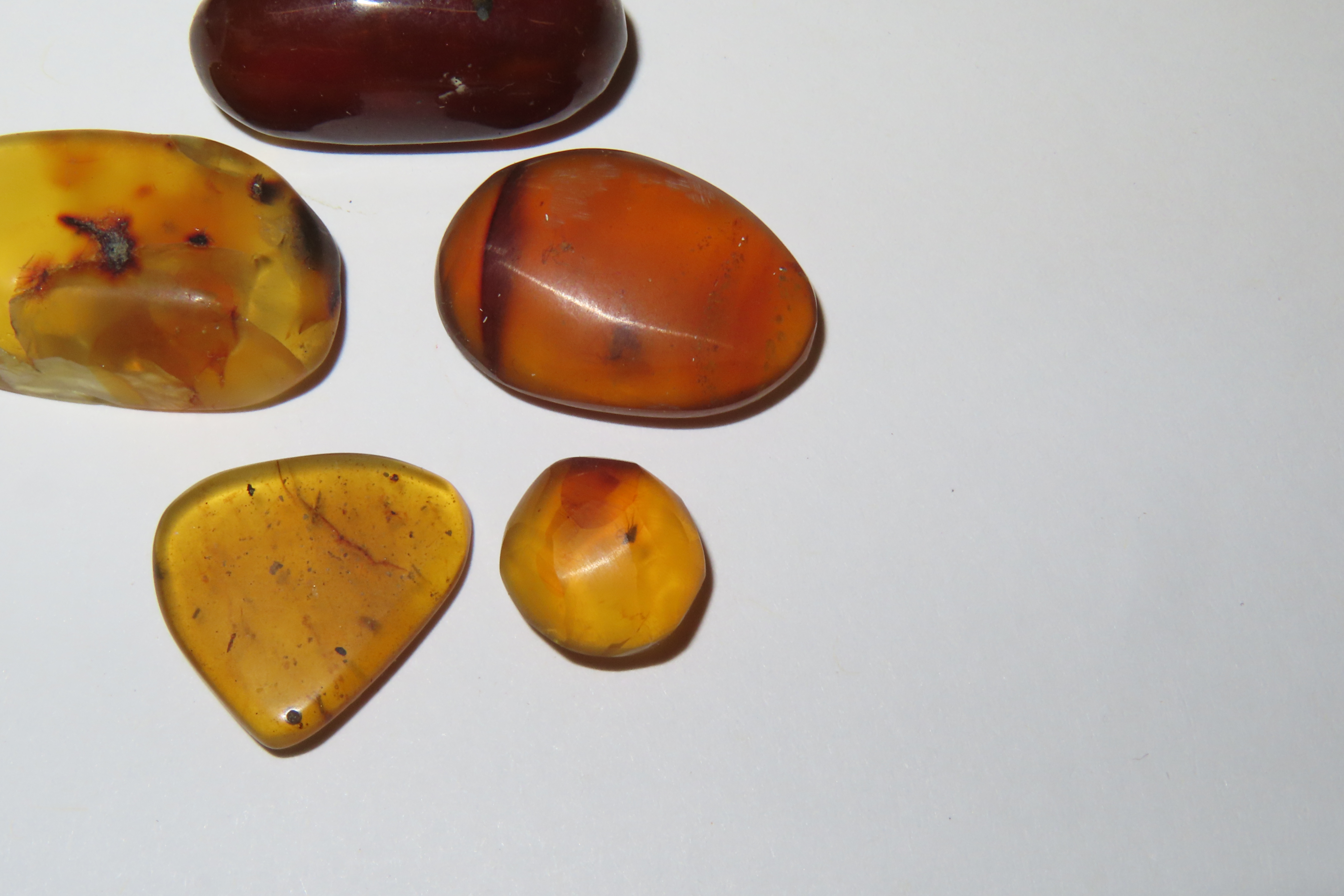 Lot of Fossil Amber, some with small bugs or partial bugs that were partially eaten by another insect. 100 Million Years Old, from the Hukaw