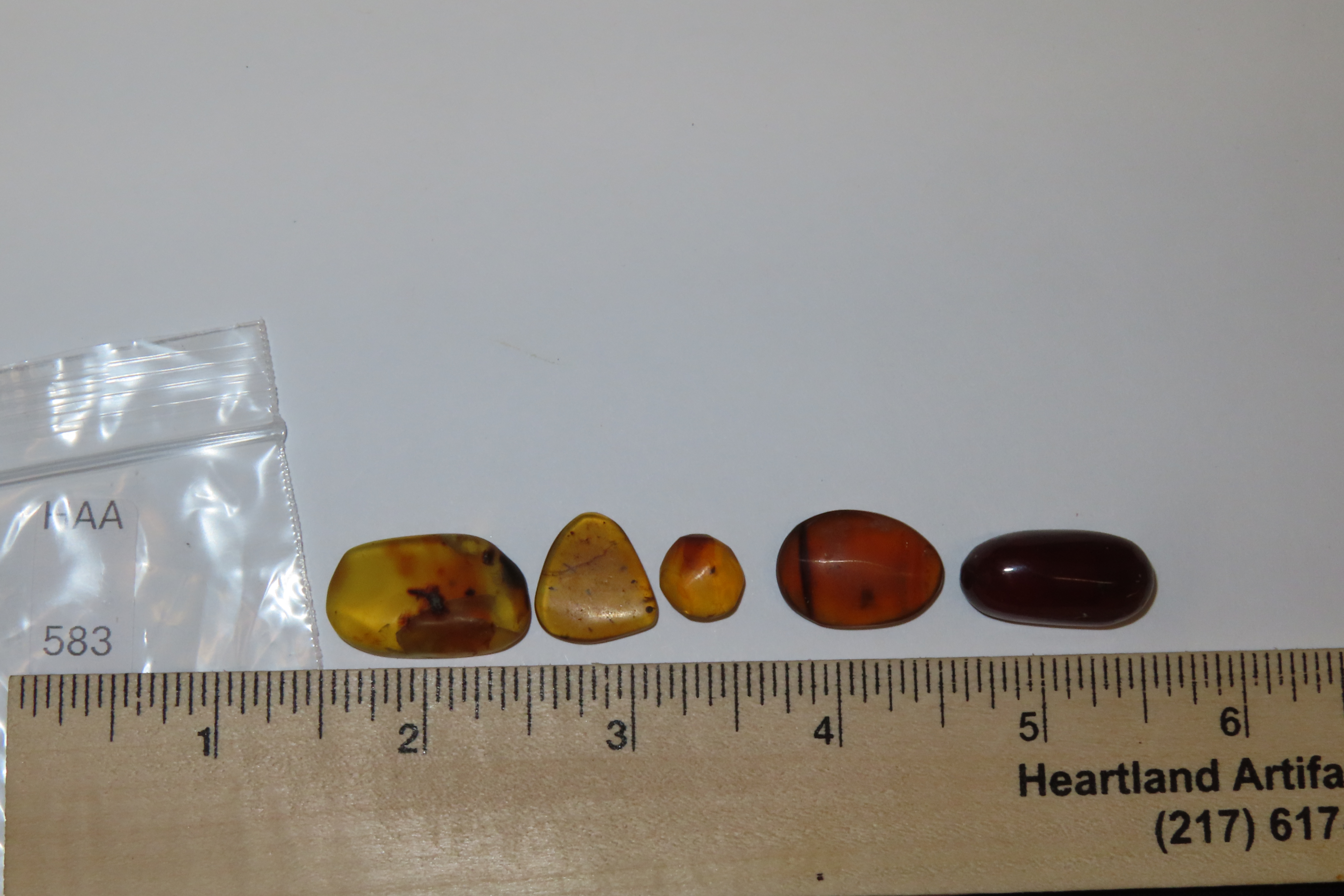 Lot of Fossil Amber, some with small bugs or partial bugs that were partially eaten by another insect. 100 Million Years Old, from the Hukaw