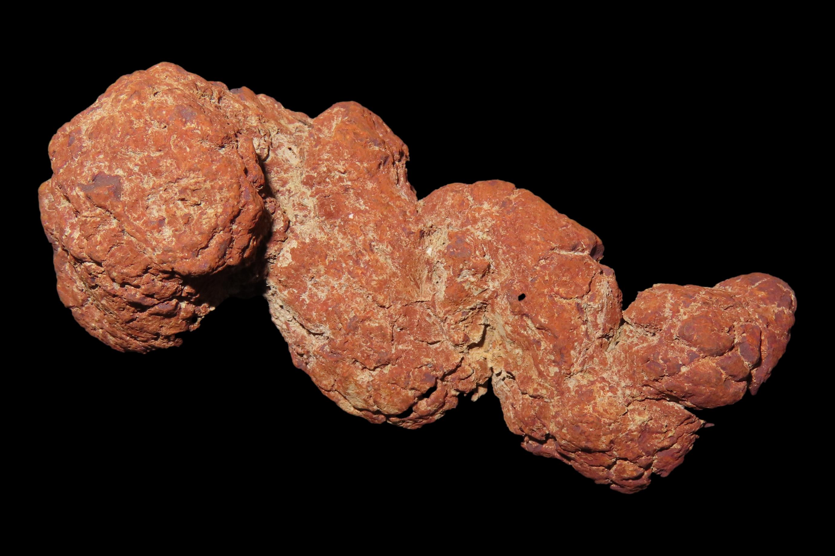 Large Dinosaur Poop Fossil, Coprolite, Appr. 100 Million Years old Fossilized Dino Dung, Great Well Formed Example!