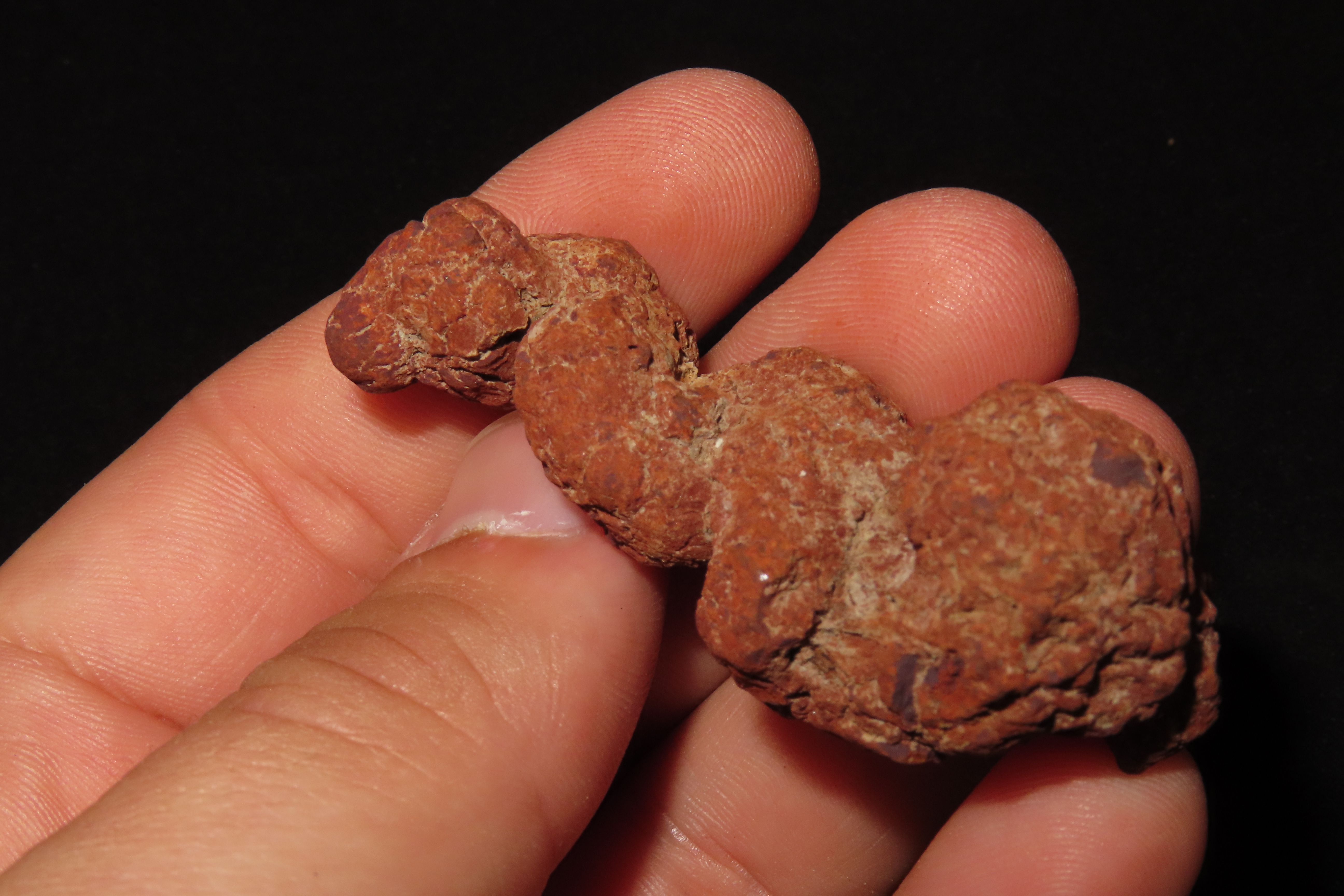 Large Dinosaur Poop Fossil, Coprolite, Appr. 100 Million Years old Fossilized Dino Dung, Great Well Formed Example!