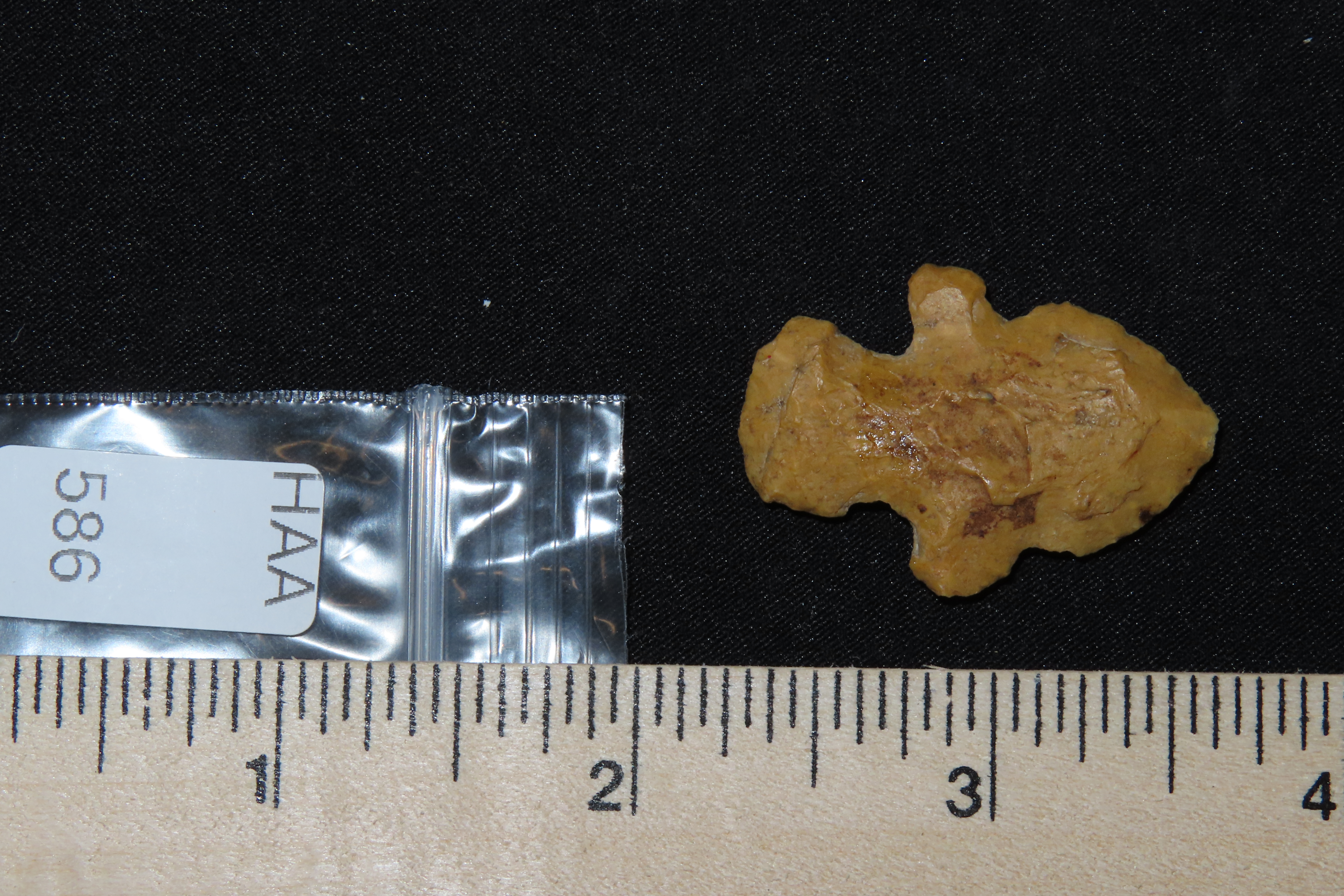Nice classic Double Notch Evans found in Moorehouse Parish Louisiana. Beautiful Orange Jasper.