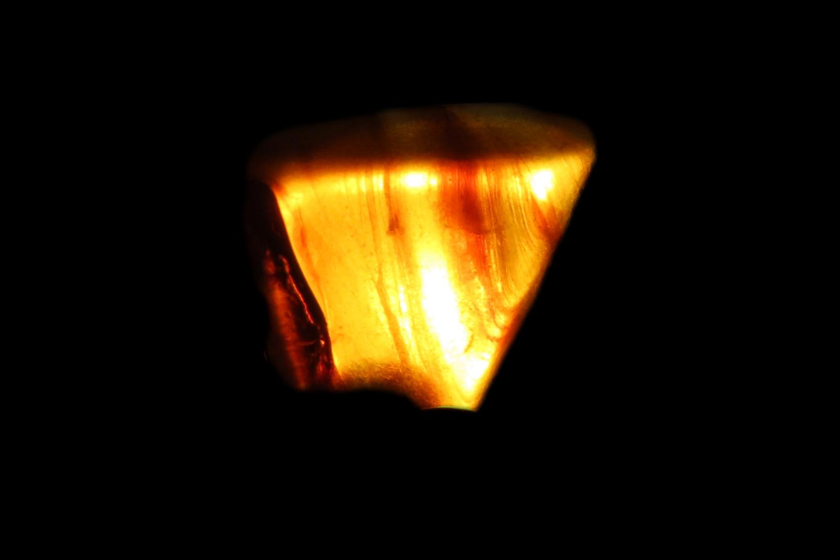 Fossil Amber with Encased Insect, Great Specimen with Easily Visible Bug. 100 Million Years Old, from the Hukawng Valley, Burma-Myanmar. Bur