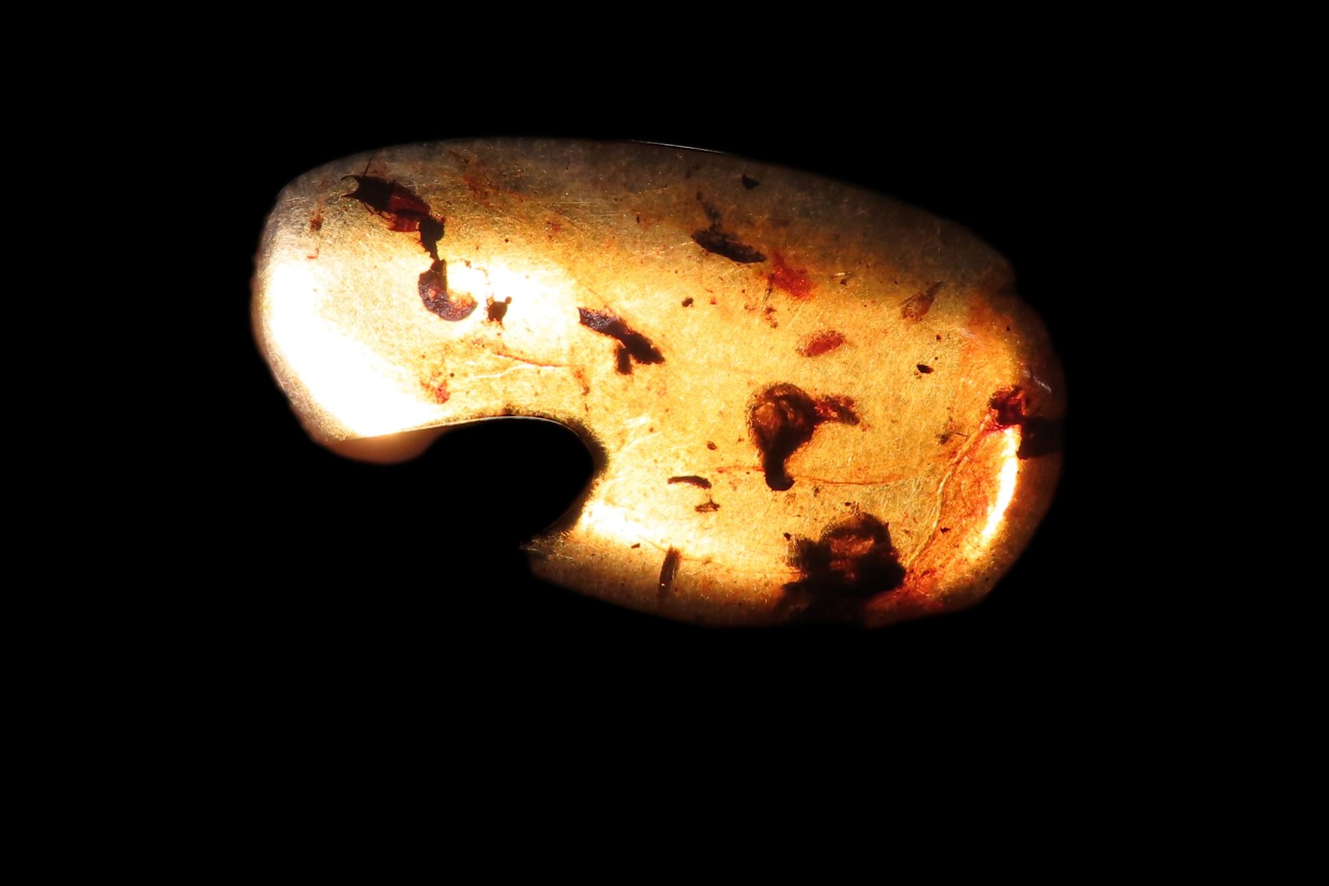 Fossil Amber with Encased Insect, Great Specimen with Easily Visible Bug. 100 Million Years Old, from the Hukawng Valley, Burma-Myanmar. Bur