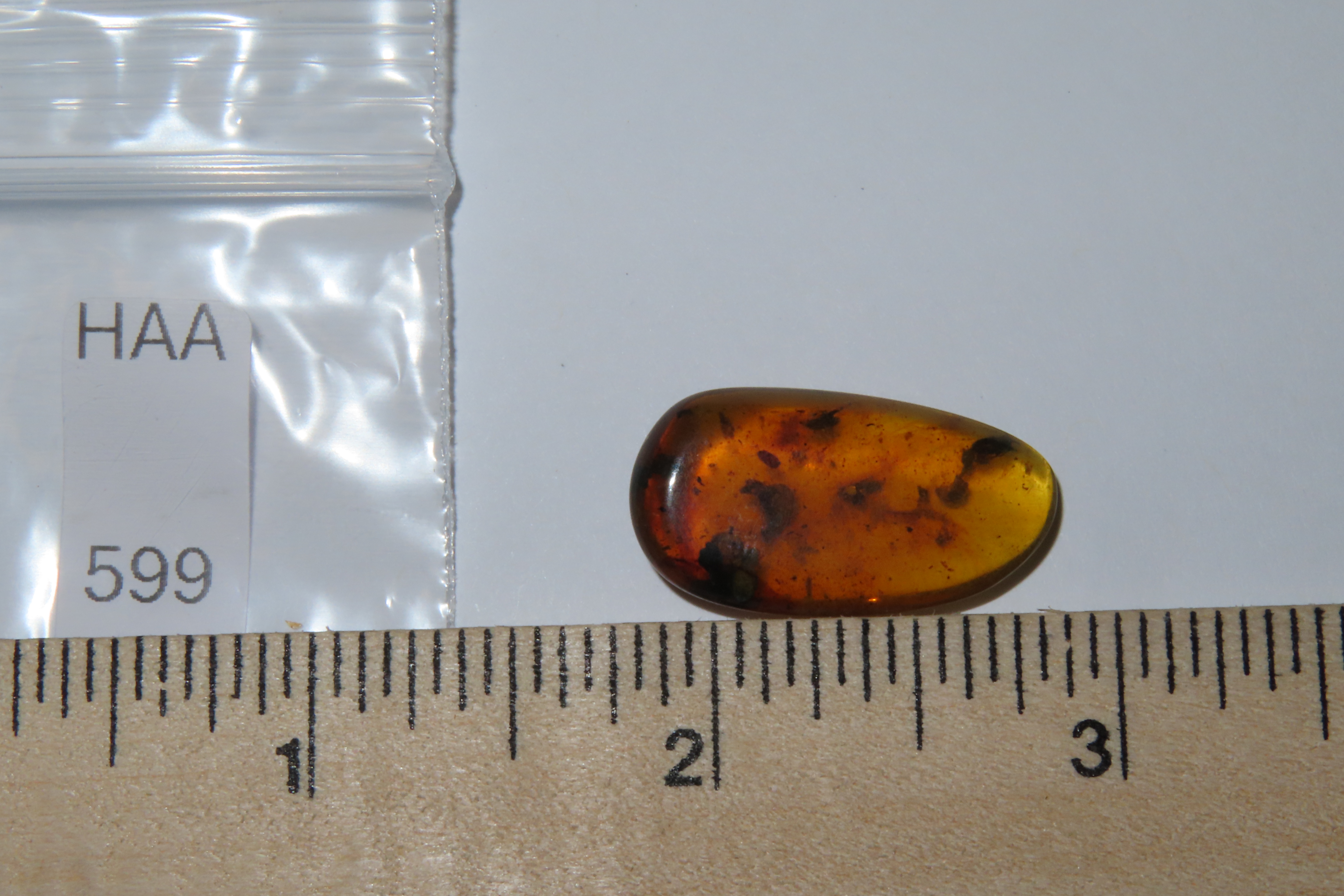 Fossil Amber with Encased Insect, Great Specimen with Easily Visible Bug. 100 Million Years Old, from the Hukawng Valley, Burma-Myanmar. Bur