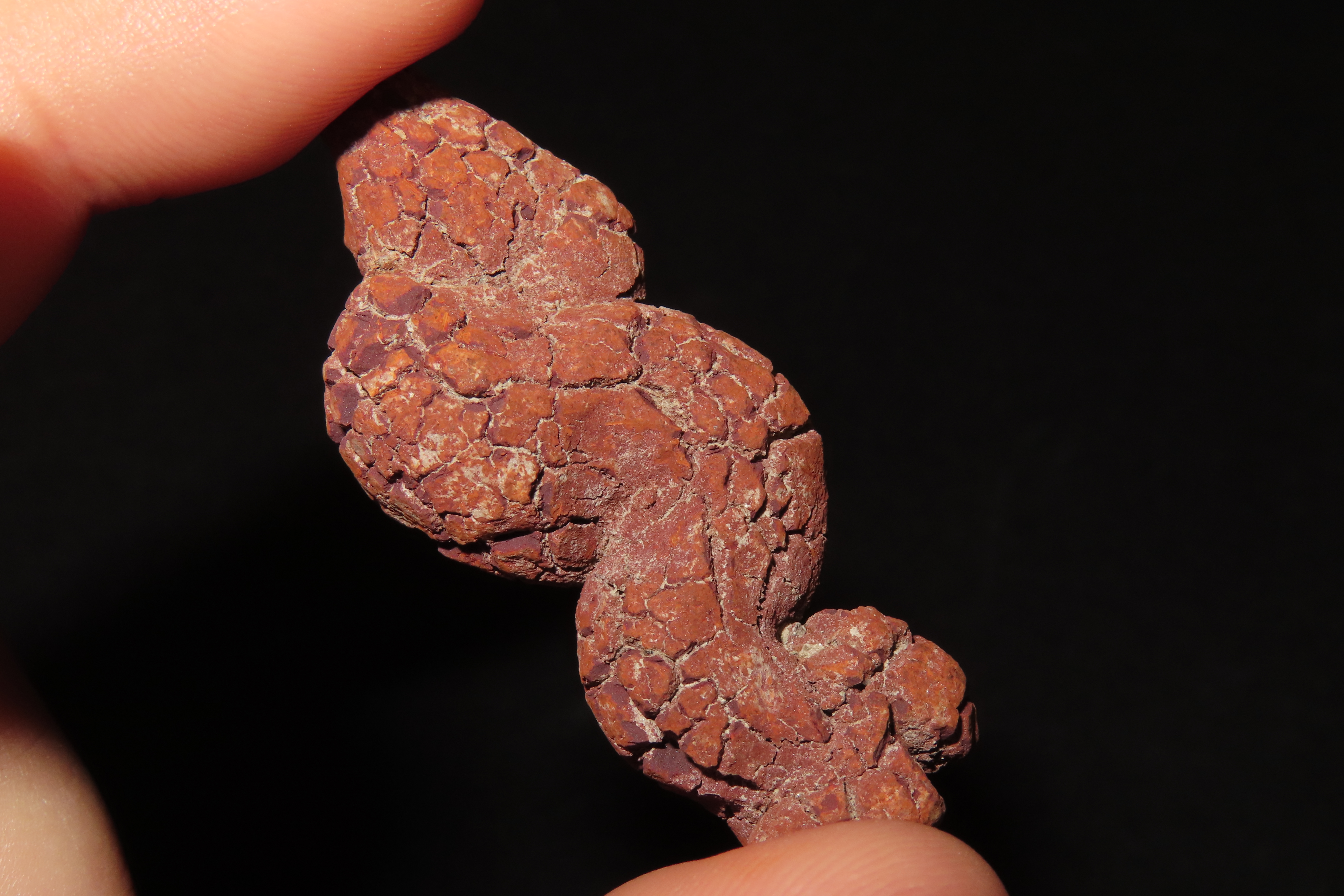 Large Dinosaur Poop Fossil, Coprolite, Appr. 100 Million Years old Fossilized Dino Dung, Great Well Formed Example!