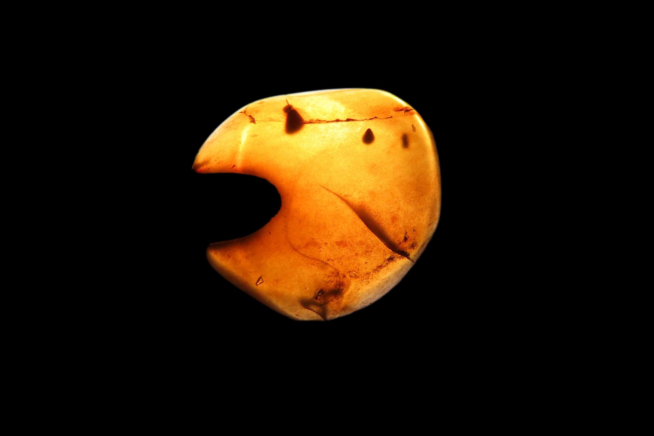 Fossil Amber with Encased Insect, Great Specimen with Easily Visible Bug. 100 Million Years Old, from the Hukawng Valley, Burma-Myanmar. Bur