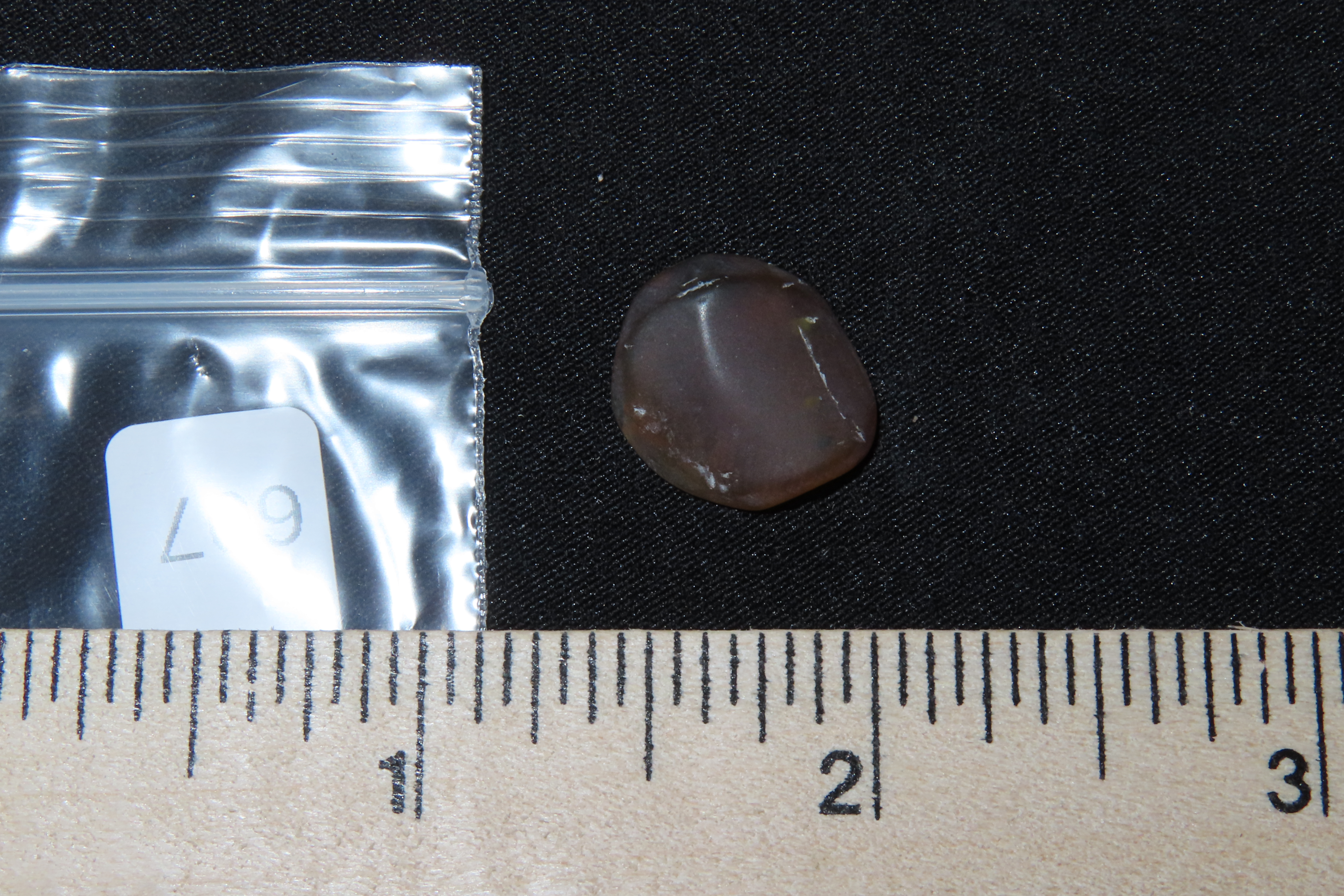 Fossil Amber with Encased Insect, Great Specimen with Easily Visible Bug. 100 Million Years Old, from the Hukawng Valley, Burma-Myanmar. Bur