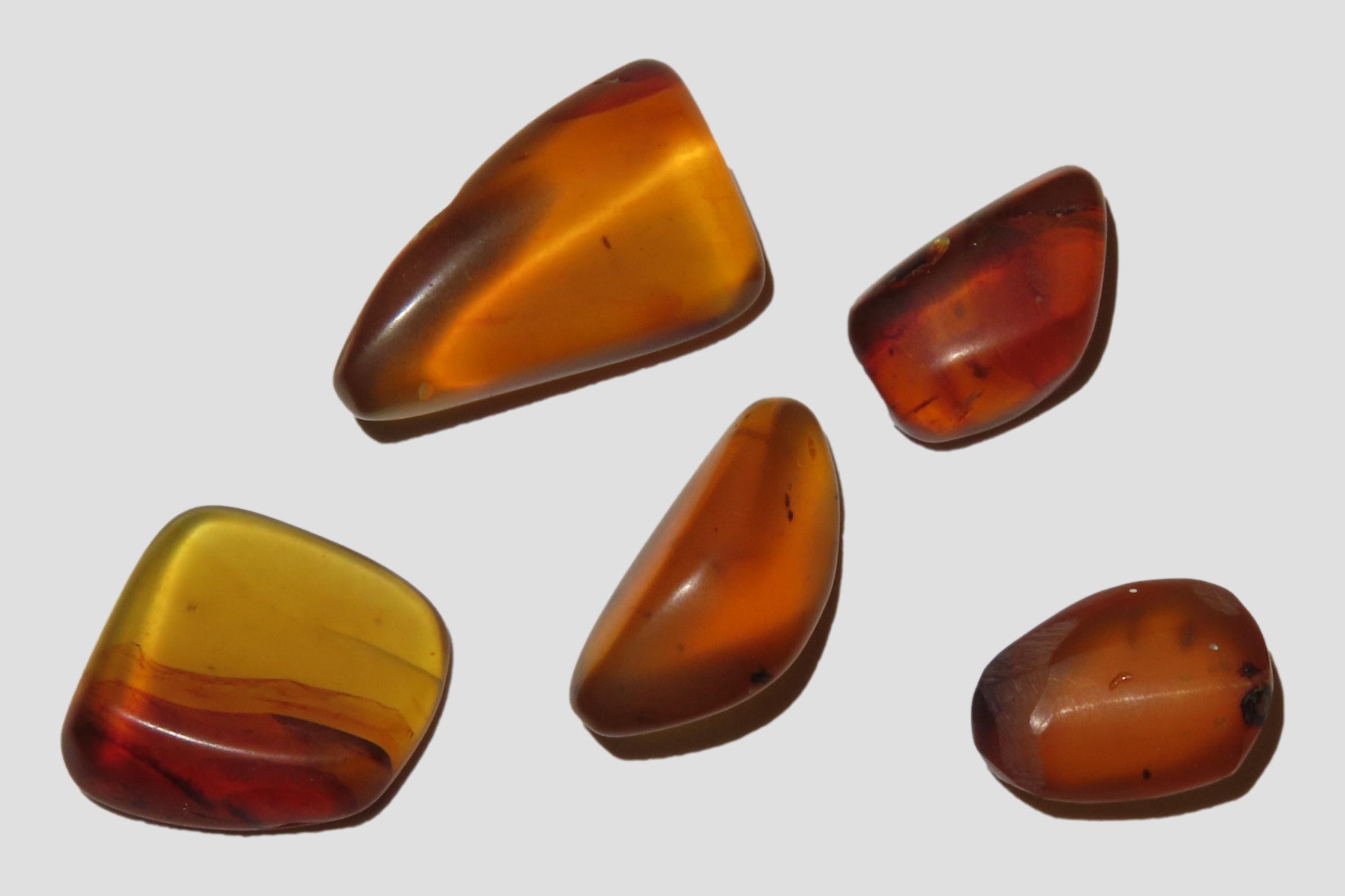 Lot of Fossil Amber, some with small bugs or partial bugs that were partially eaten by another insect. 100 Million Years Old, from the Hukaw