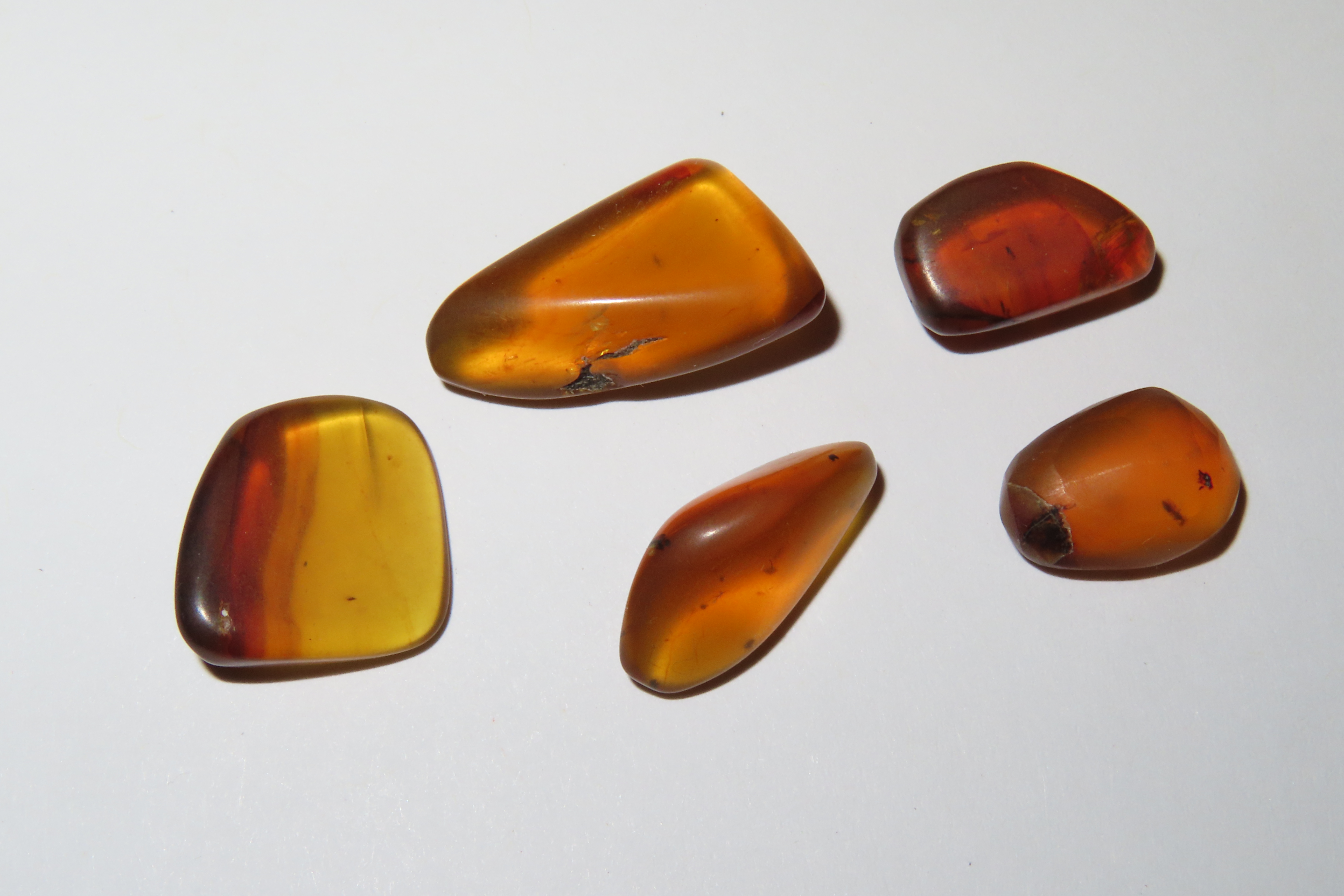 Lot of Fossil Amber, some with small bugs or partial bugs that were partially eaten by another insect. 100 Million Years Old, from the Hukaw