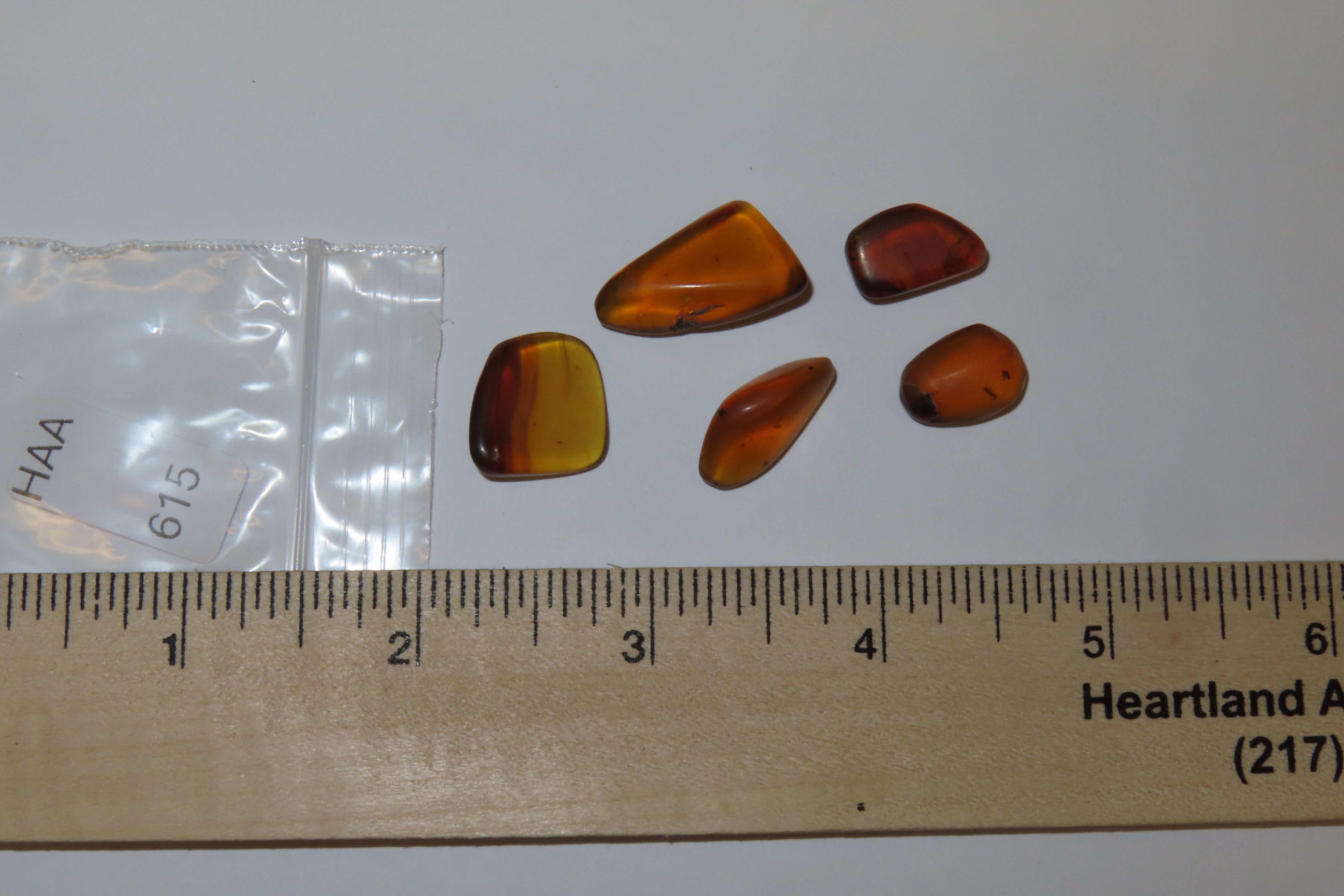 Lot of Fossil Amber, some with small bugs or partial bugs that were partially eaten by another insect. 100 Million Years Old, from the Hukaw