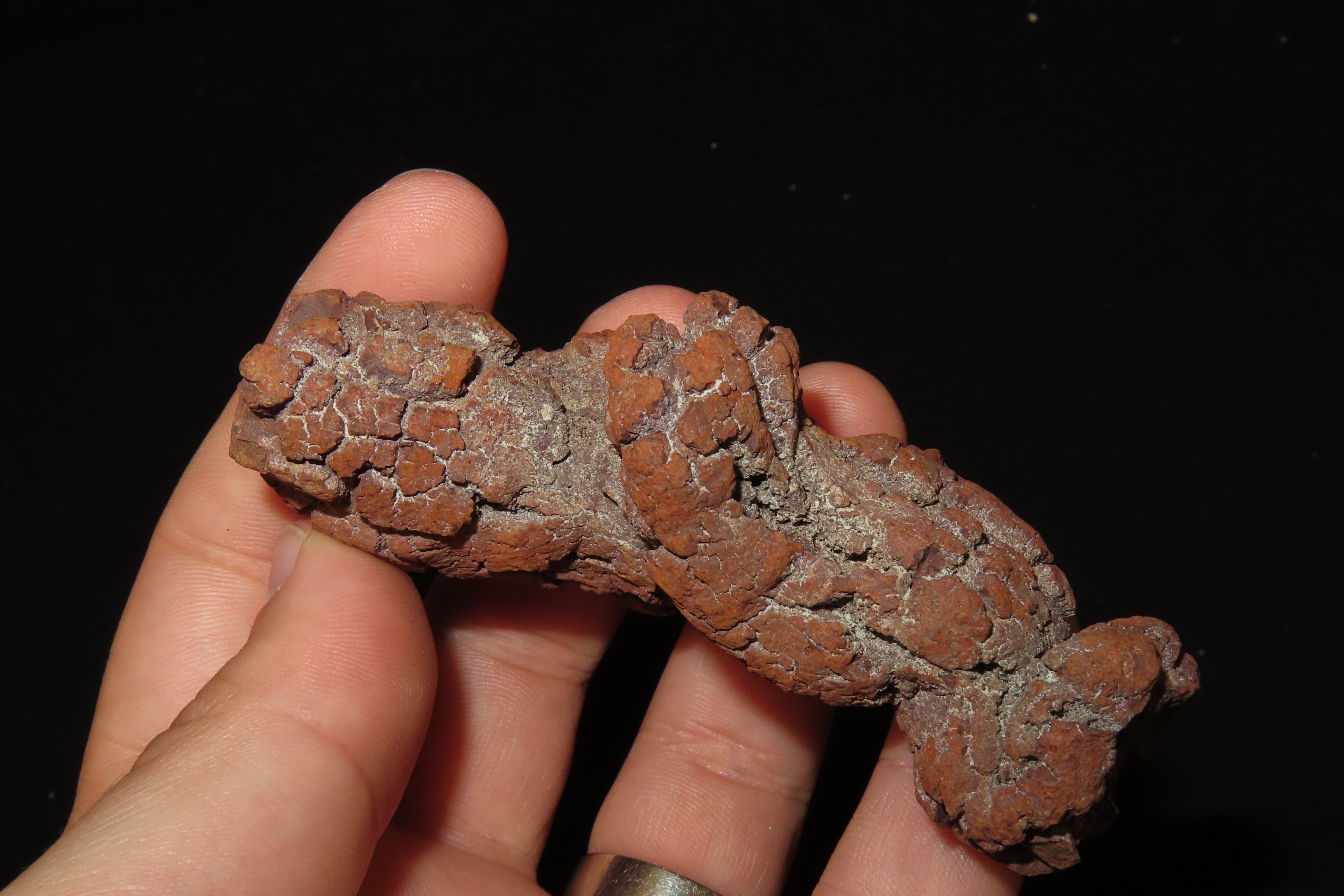 Large Dinosaur Poop Fossil, Coprolite, Appr. 100 Million Years old Fossilized Dino Dung, Great Well Formed Example!