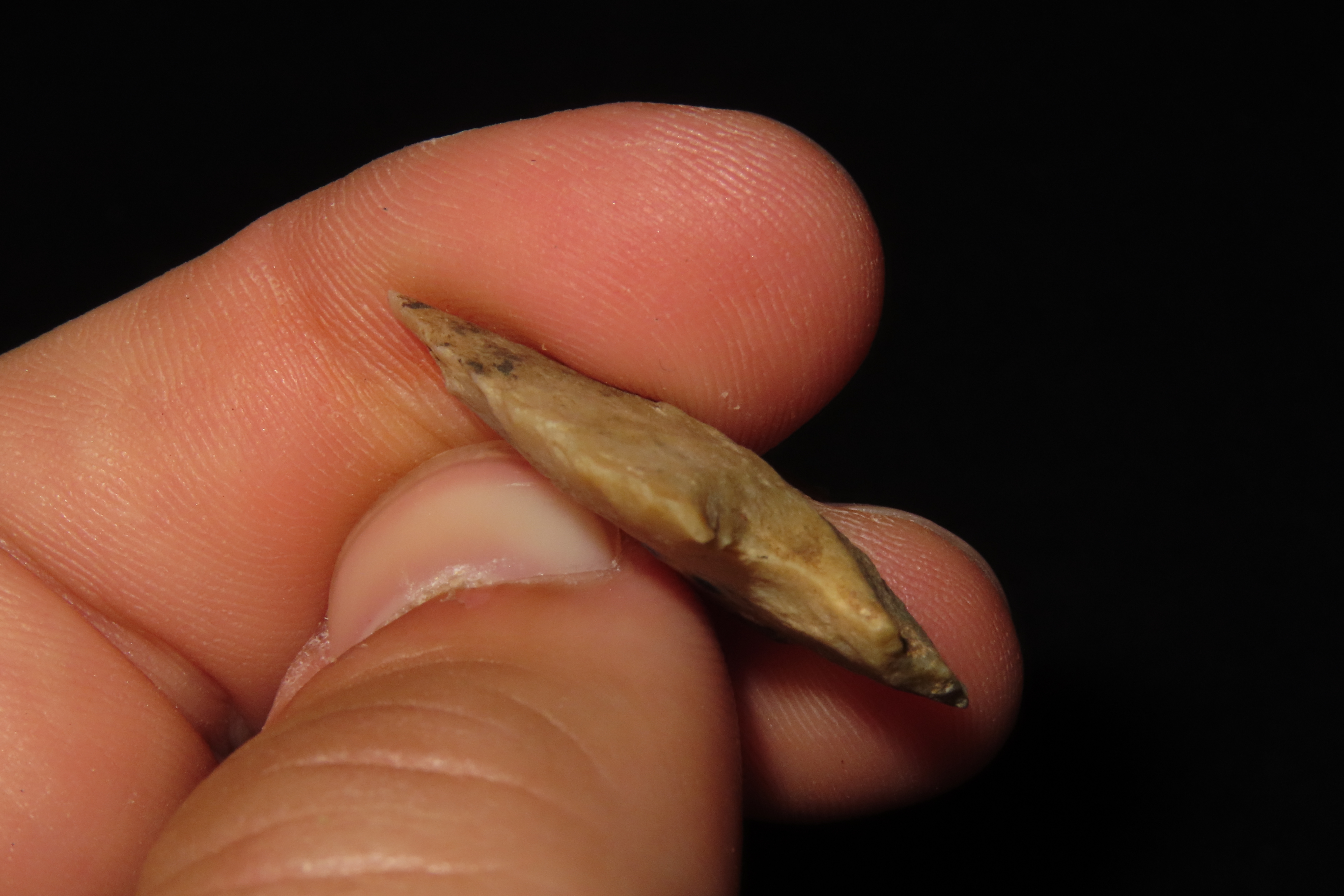 Nice Texas Birdpoint found in Bandera County TX. Bird Point, Arrowhead, Artifact.