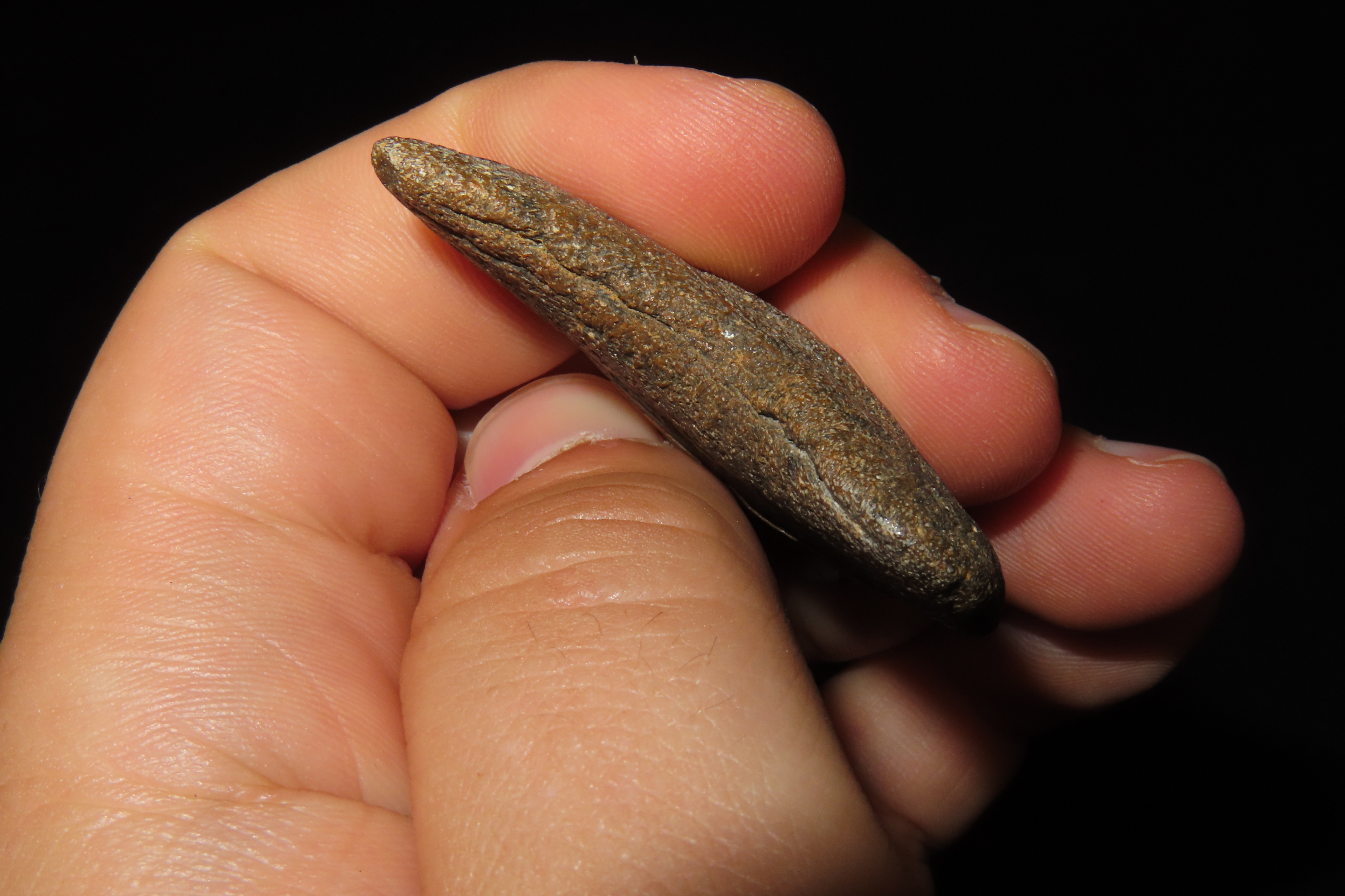 Large Megalodon Shark Tooth, 2.5-23 Million Year Old Fossil found off the coast of the Carolinas. No Repair, No Resto, No Polishing. Great E