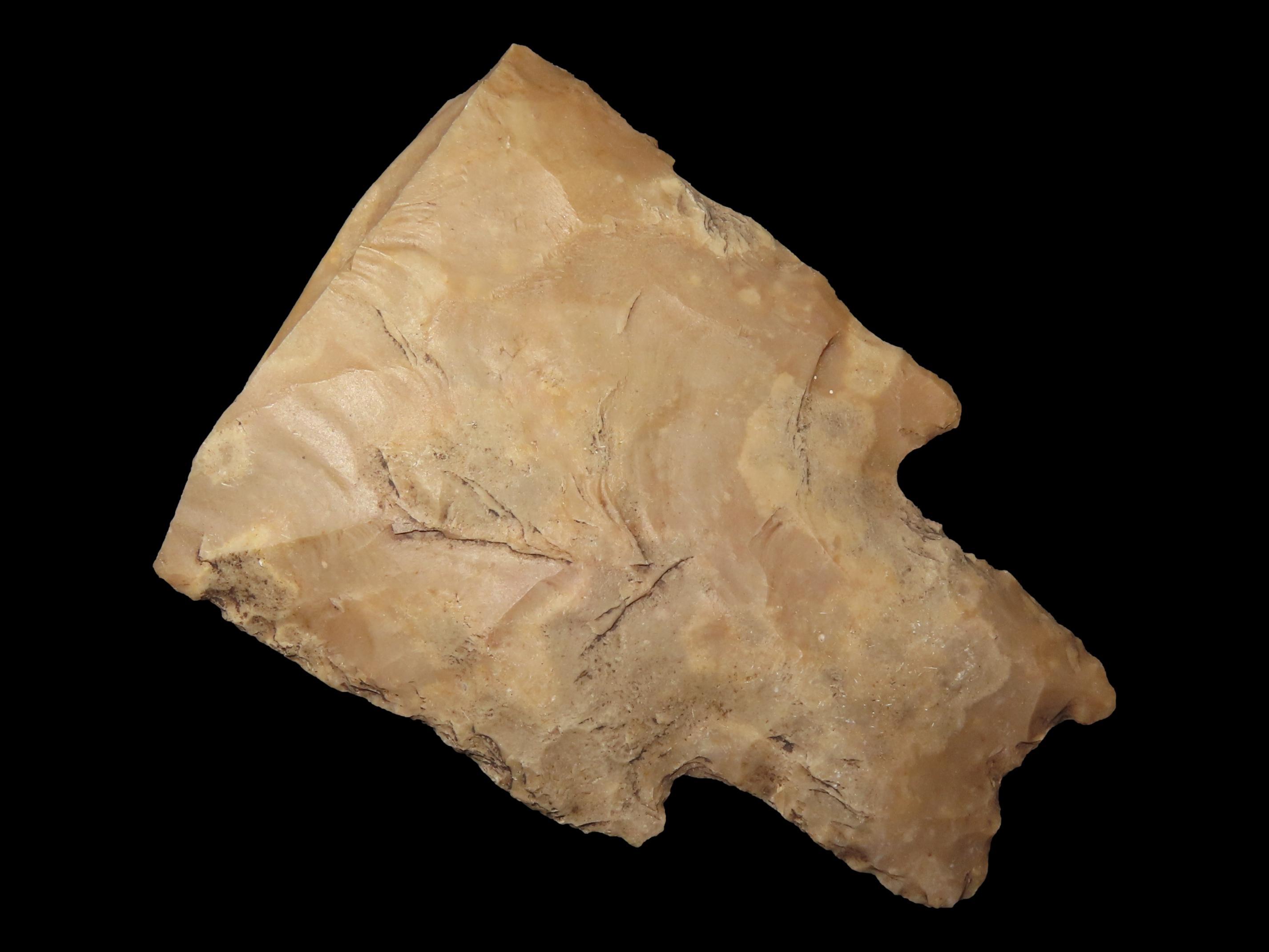 MASSIVE Pedernales Spear / Knife Heartbreaker, Uvalde County Texas. 3 3/8" by 2 3/8" Wide. Would have been over 8" if Complete. By far the l