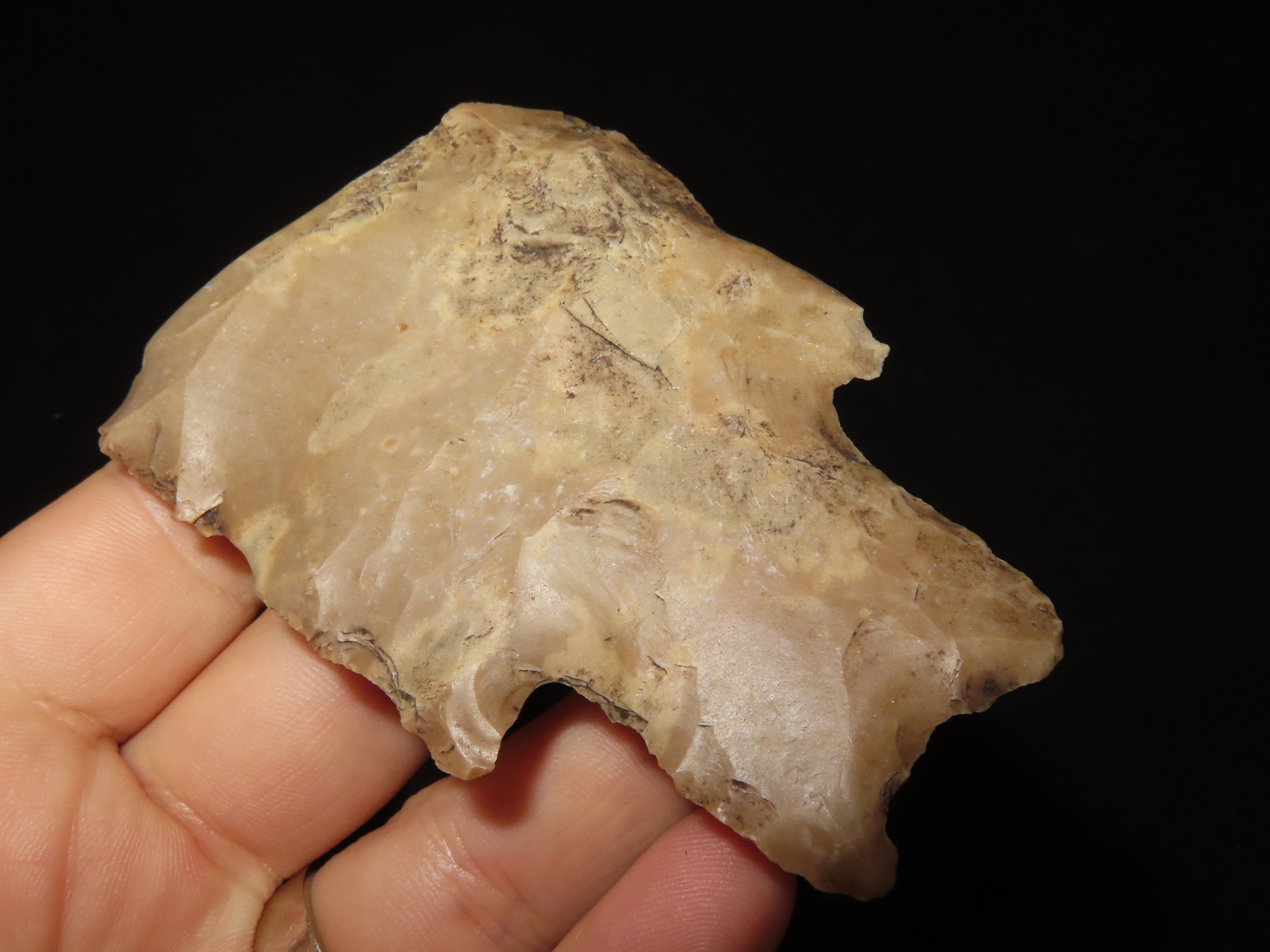 MASSIVE Pedernales Spear / Knife Heartbreaker, Uvalde County Texas. 3 3/8" by 2 3/8" Wide. Would have been over 8" if Complete. By far the l