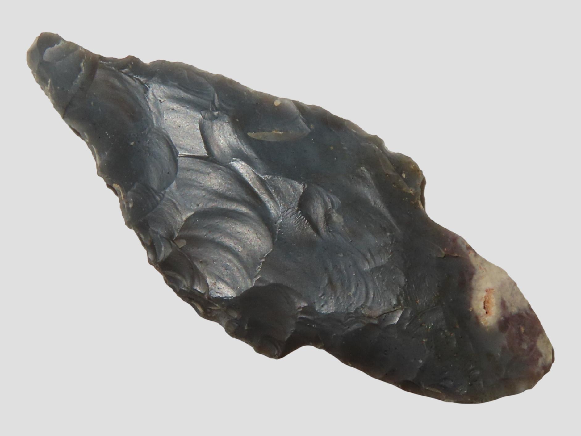 2 3/8" Sonora Turkeytail found in Hardin Co. Kentucky. Nice colorful example. Indian Arrowhead, Artifact.