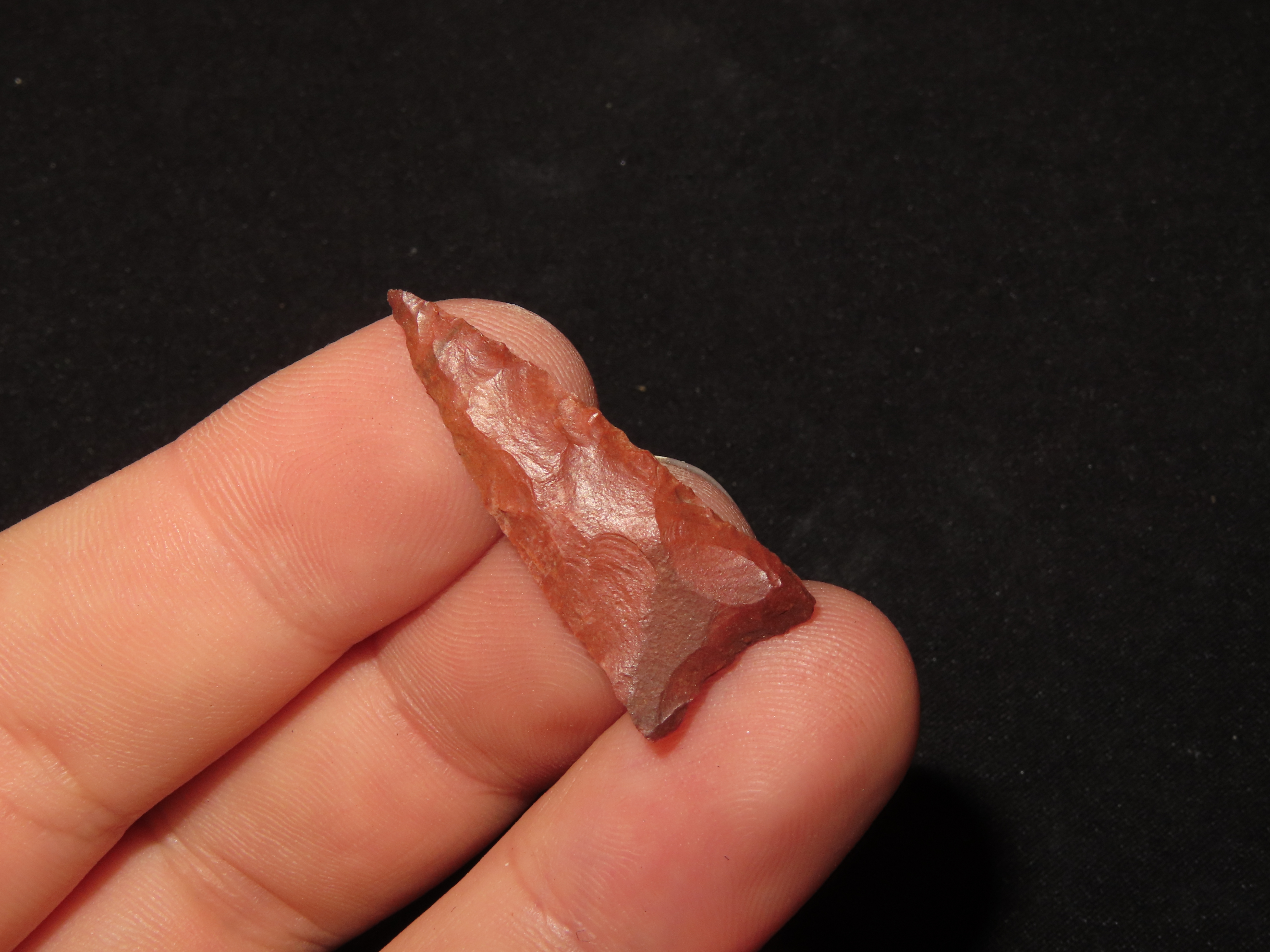 Horse Creek Chert Hamilton Triangle found in Hardin Co. Tennessee. Indian Arrowhead, Artifact