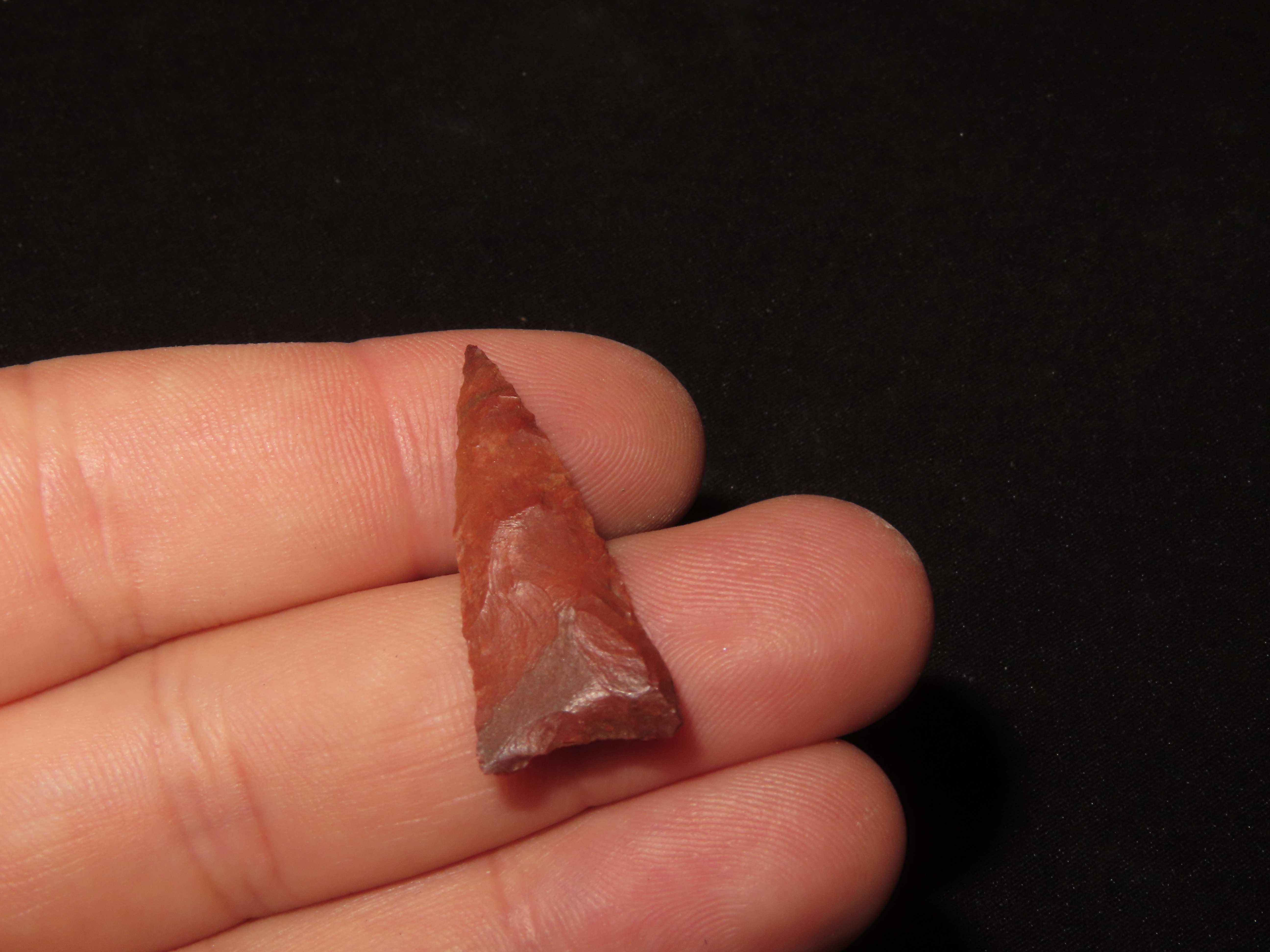 Horse Creek Chert Hamilton Triangle found in Hardin Co. Tennessee. Indian Arrowhead, Artifact
