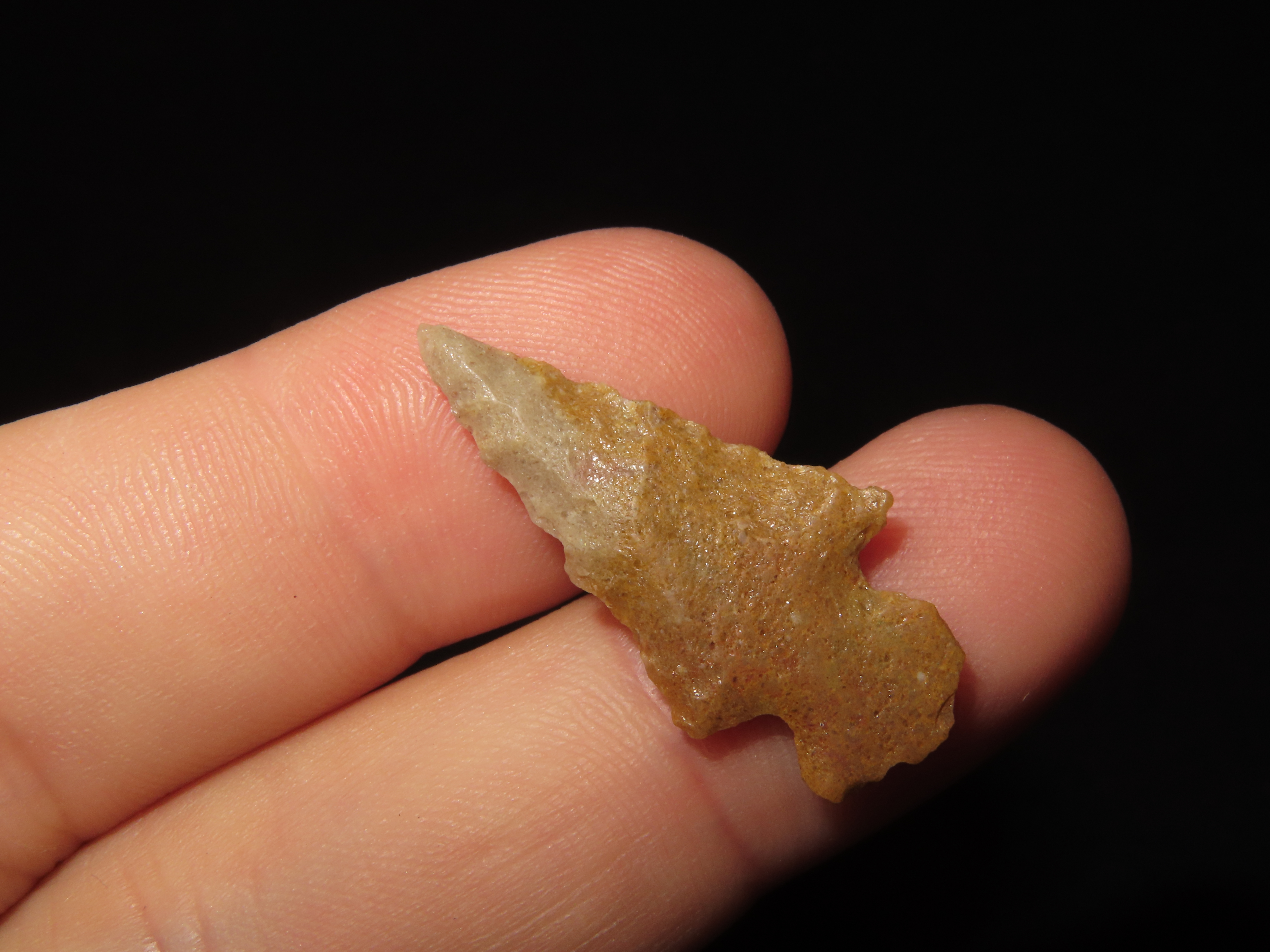 Nice Colorful Serrated Birdpoint found in Arkansas. Great example!