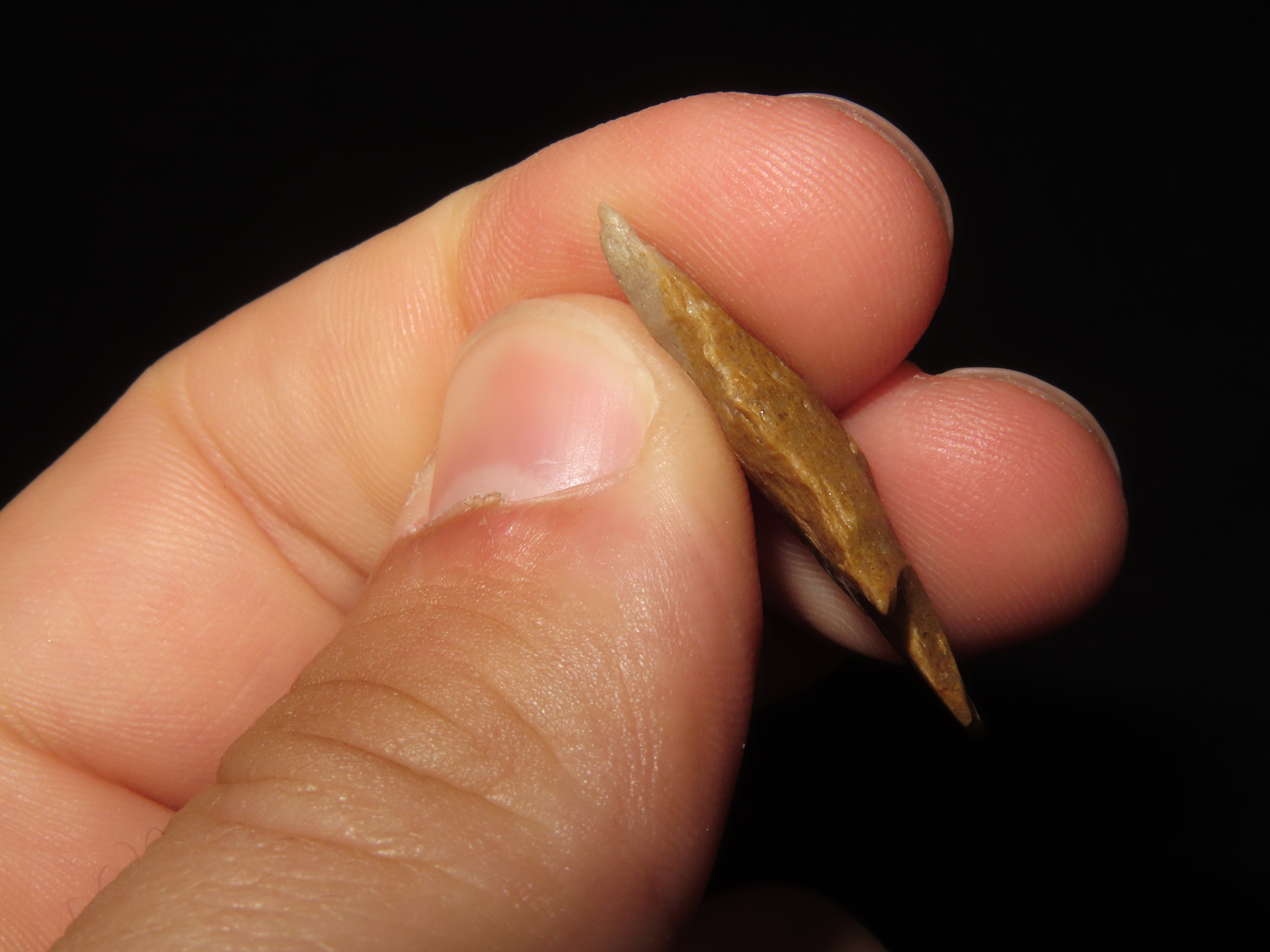 Nice Colorful Serrated Birdpoint found in Arkansas. Great example!