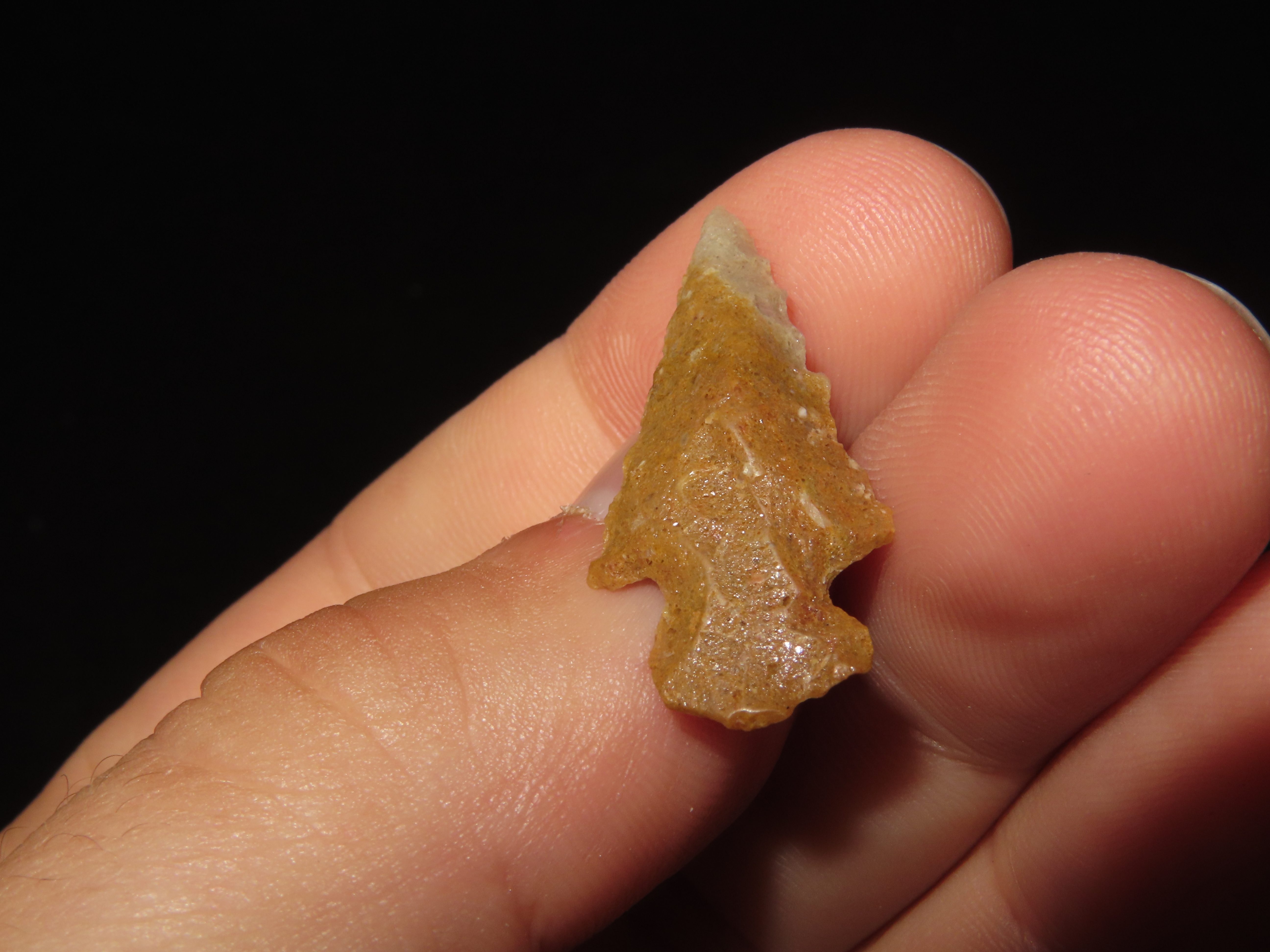 Nice Colorful Serrated Birdpoint found in Arkansas. Great example!