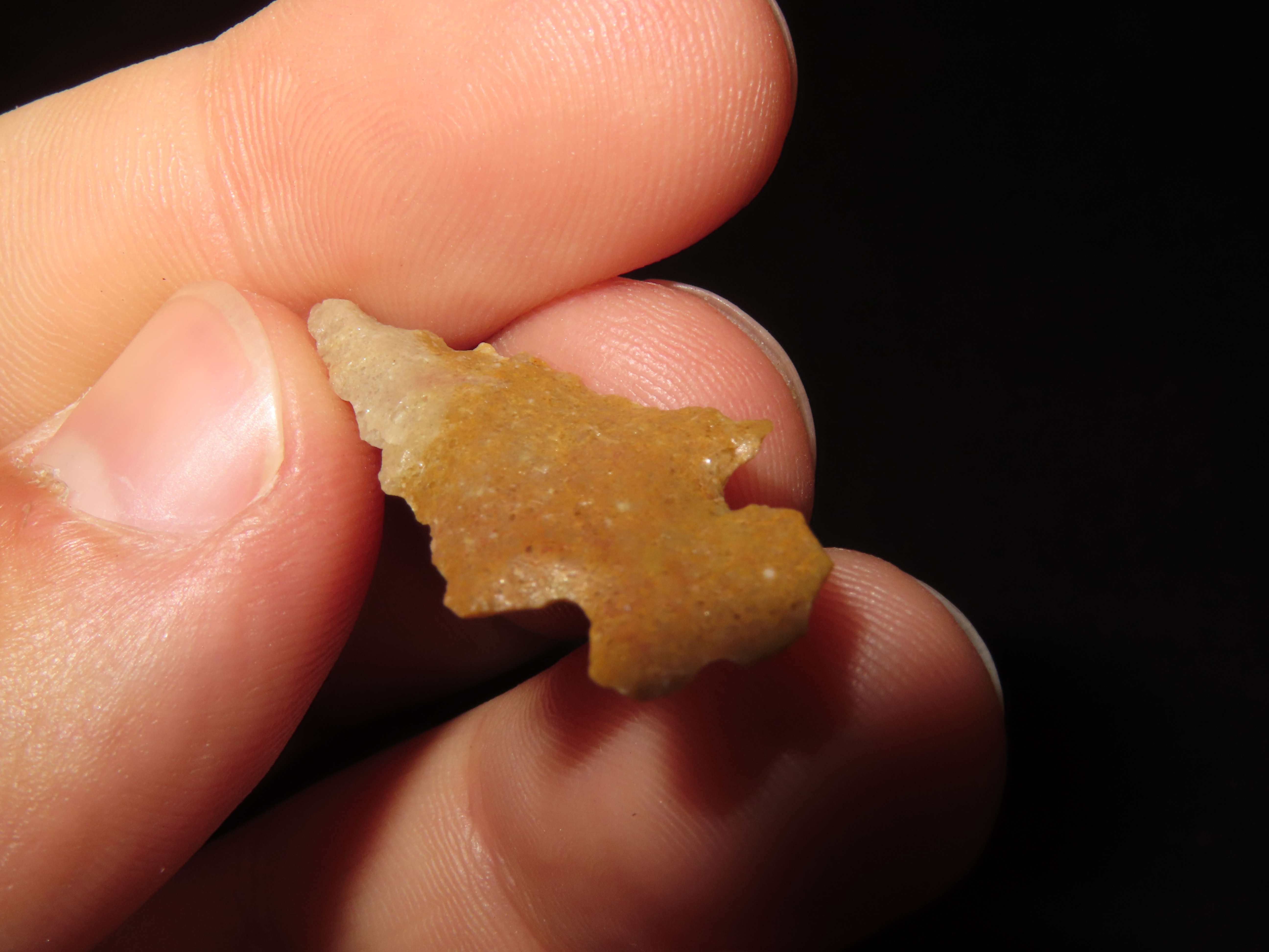 Nice Colorful Serrated Birdpoint found in Arkansas. Great example!