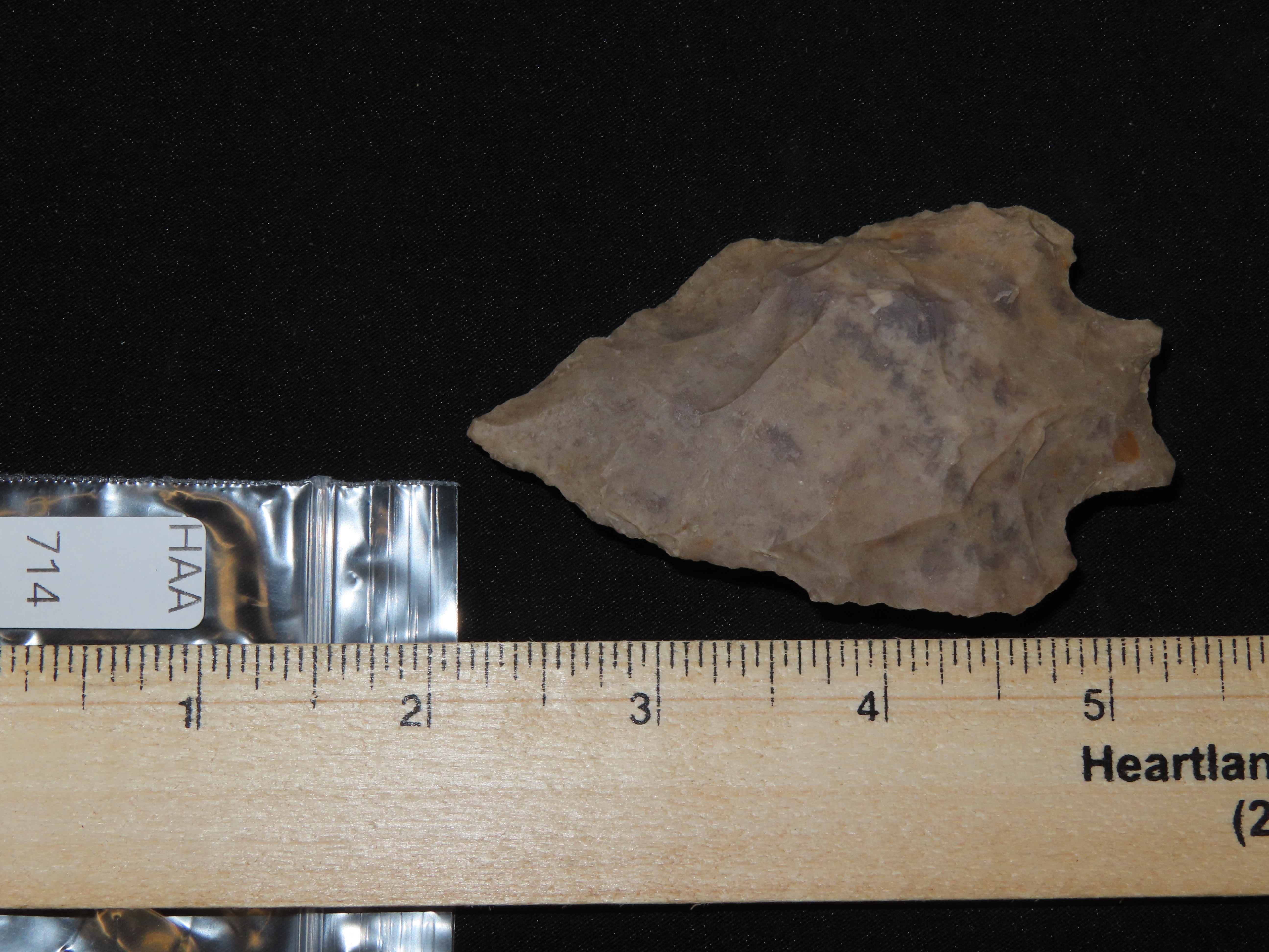 3 1/8" Texas Pedernales / Perd found in Bandera County TX. Colorful Example!