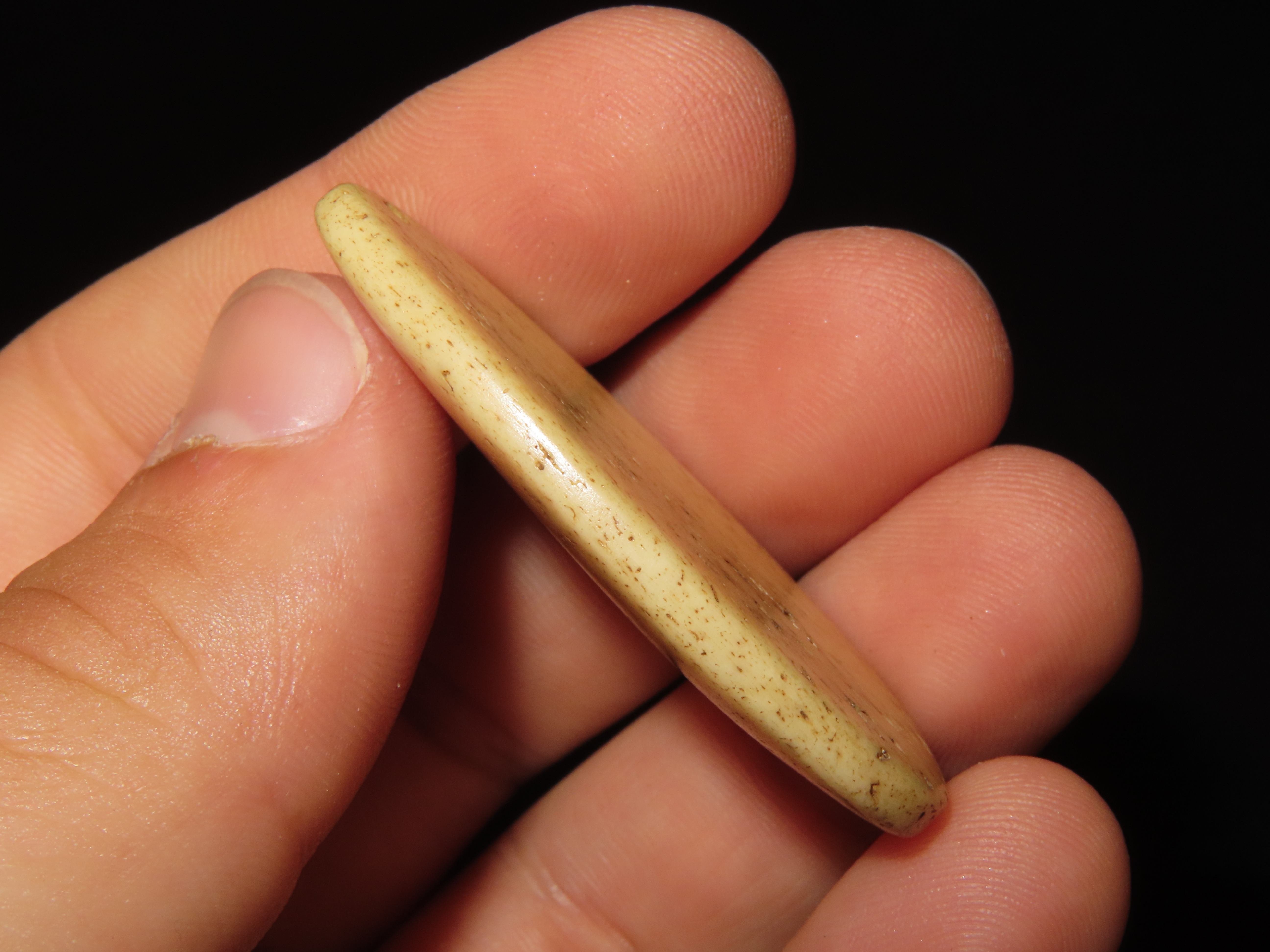Bone Pendant found in South Dakota. Highly Polished Examples, Mandan Culture, Circa 1600-1700's