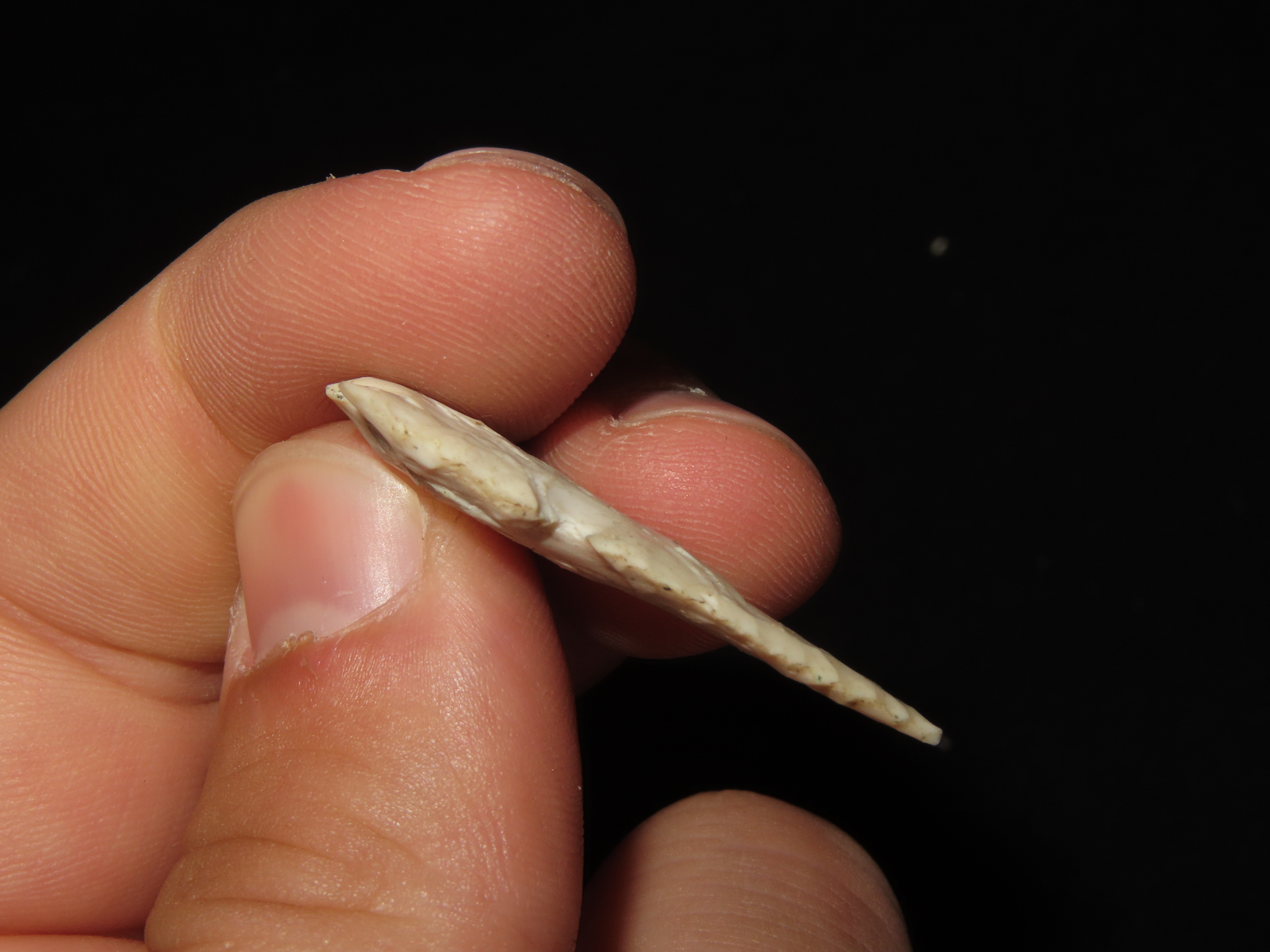 Nice Double Notch Bird Point found in New Mexico. Indian Arrowhead, Artifact.