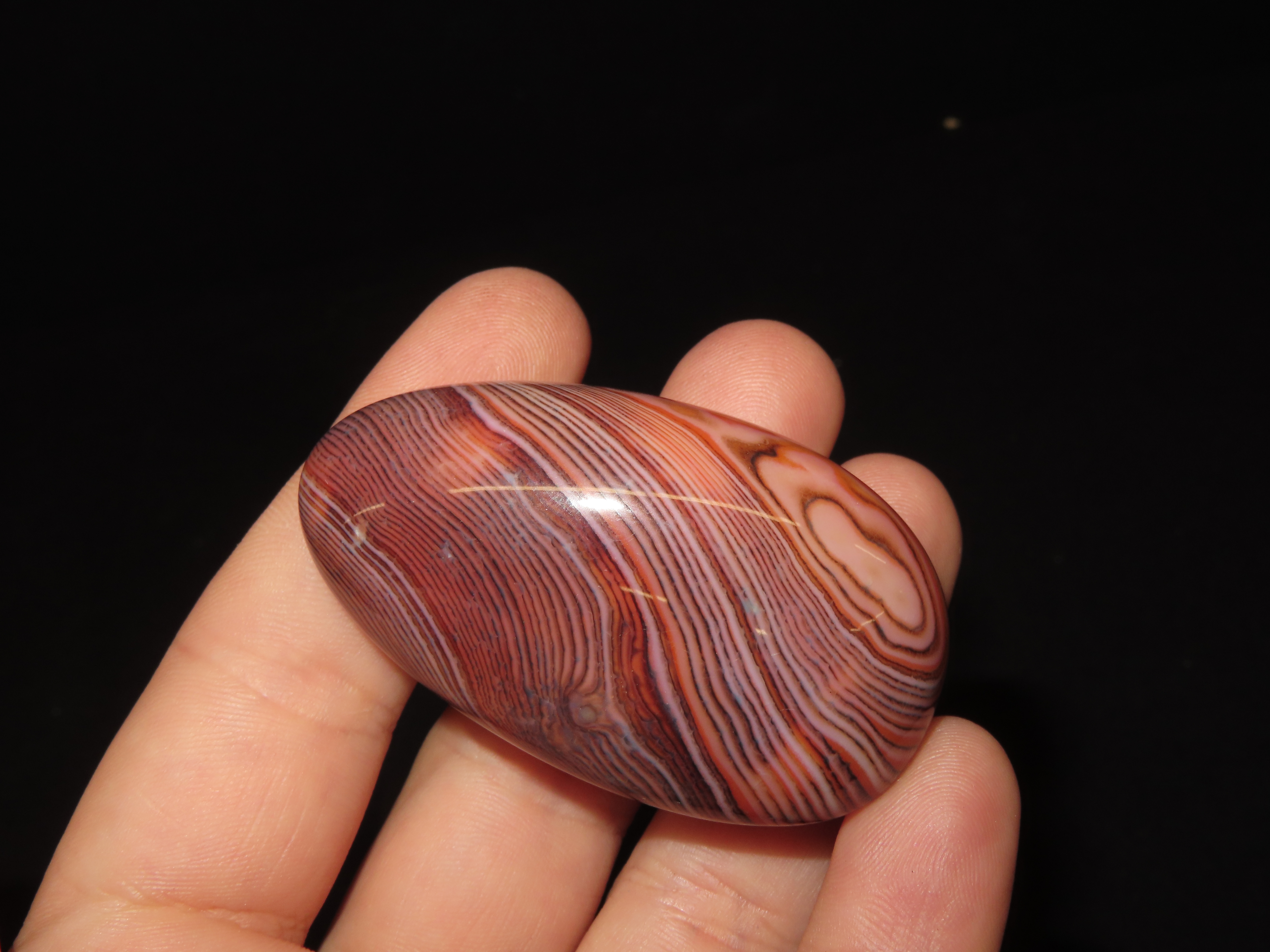 Colorful Polished Banded Lace Agate. Incredible Colors. Nice large example. Fully Polished.