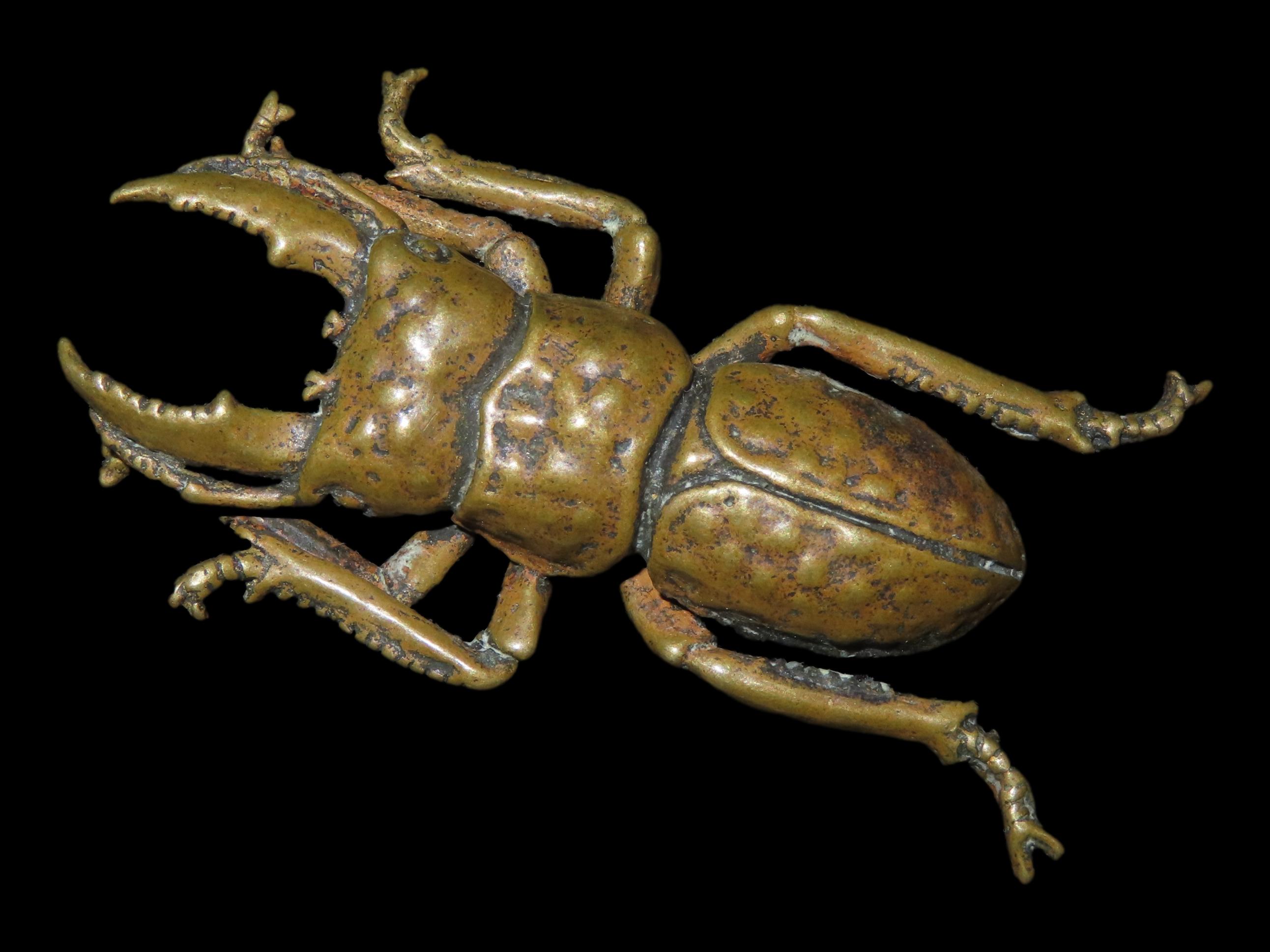 Vintage Solid Brass Emperor Beetle. Highly Detailed example showing precise realistic features both top and bottom.