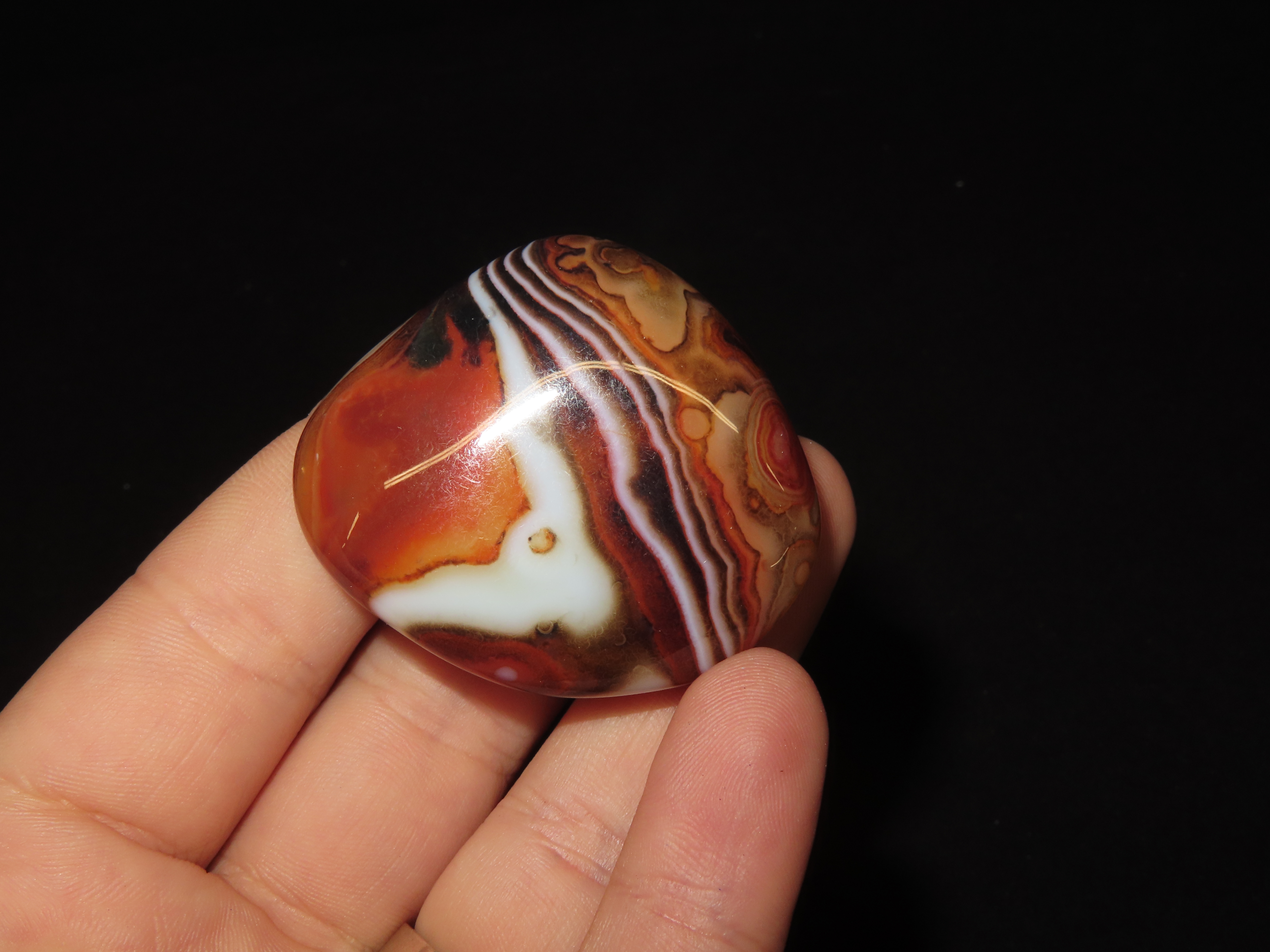 Colorful Polished Banded Lace Agate. Incredible Colors. Nice large example. Fully Polished.