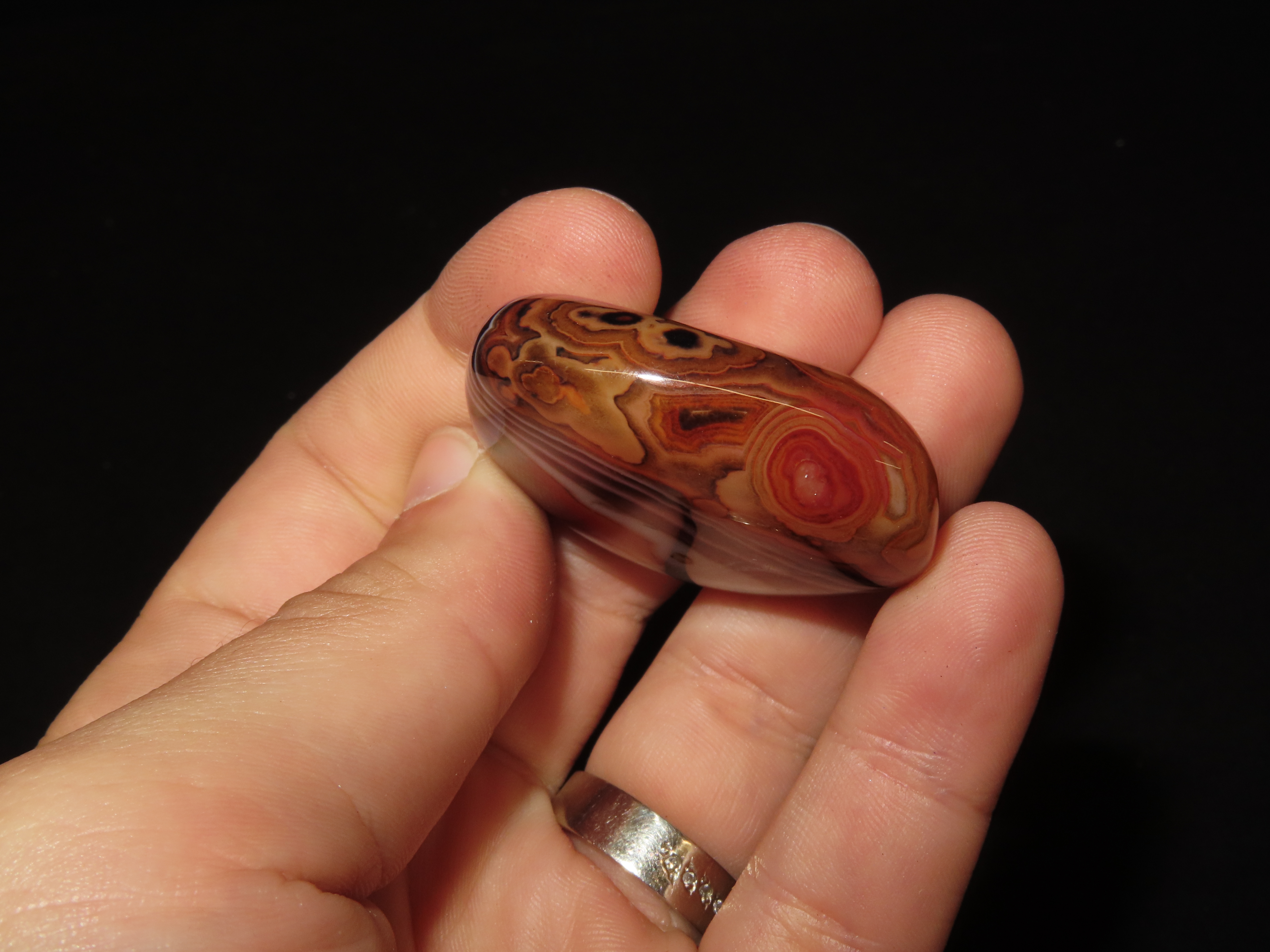 Colorful Polished Banded Lace Agate. Incredible Colors. Nice large example. Fully Polished.