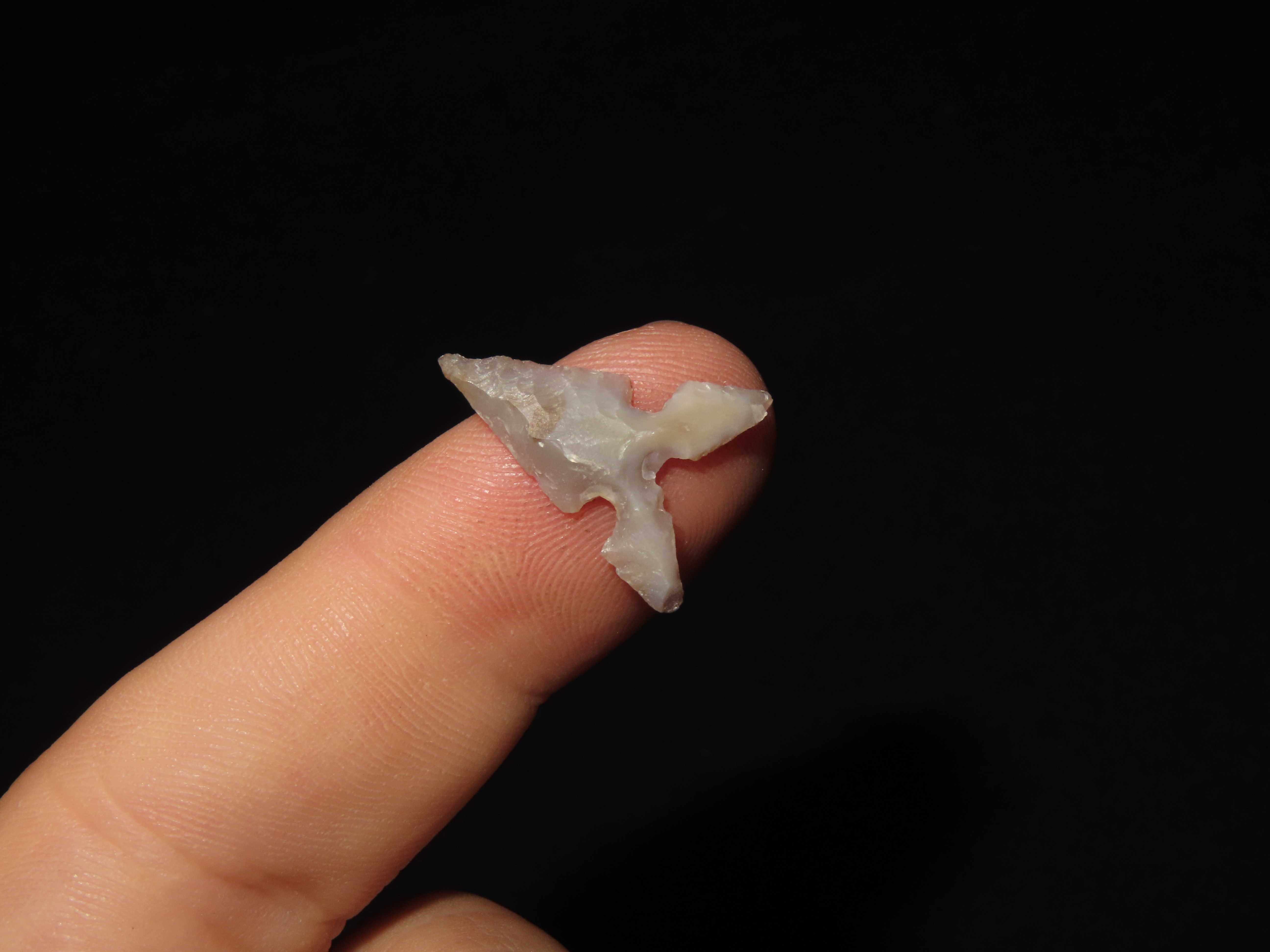 Amazing Texas Bird Point found in Central texas. Indian Arrowhead, Artifact.
