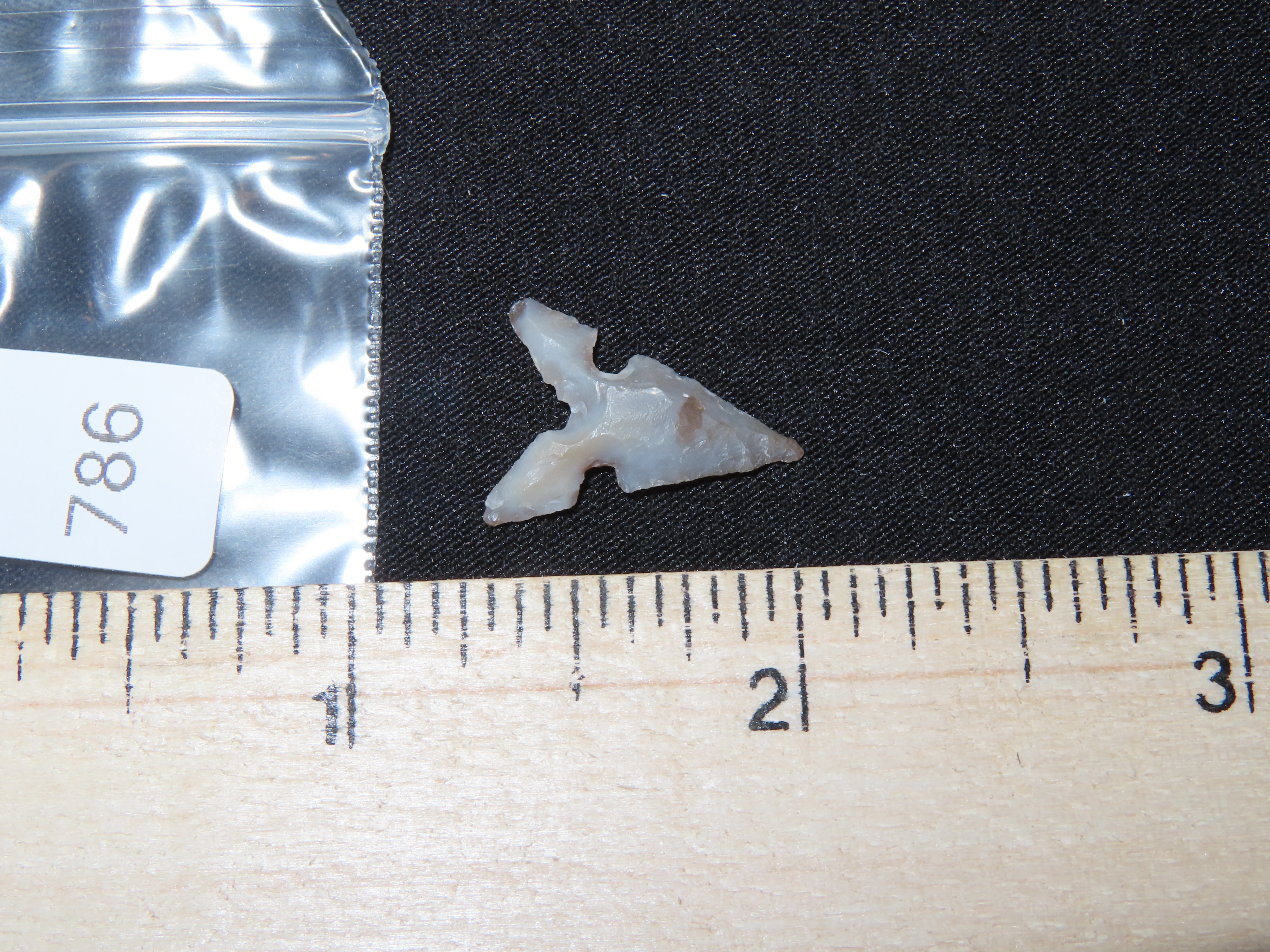 Amazing Texas Bird Point found in Central texas. Indian Arrowhead, Artifact.