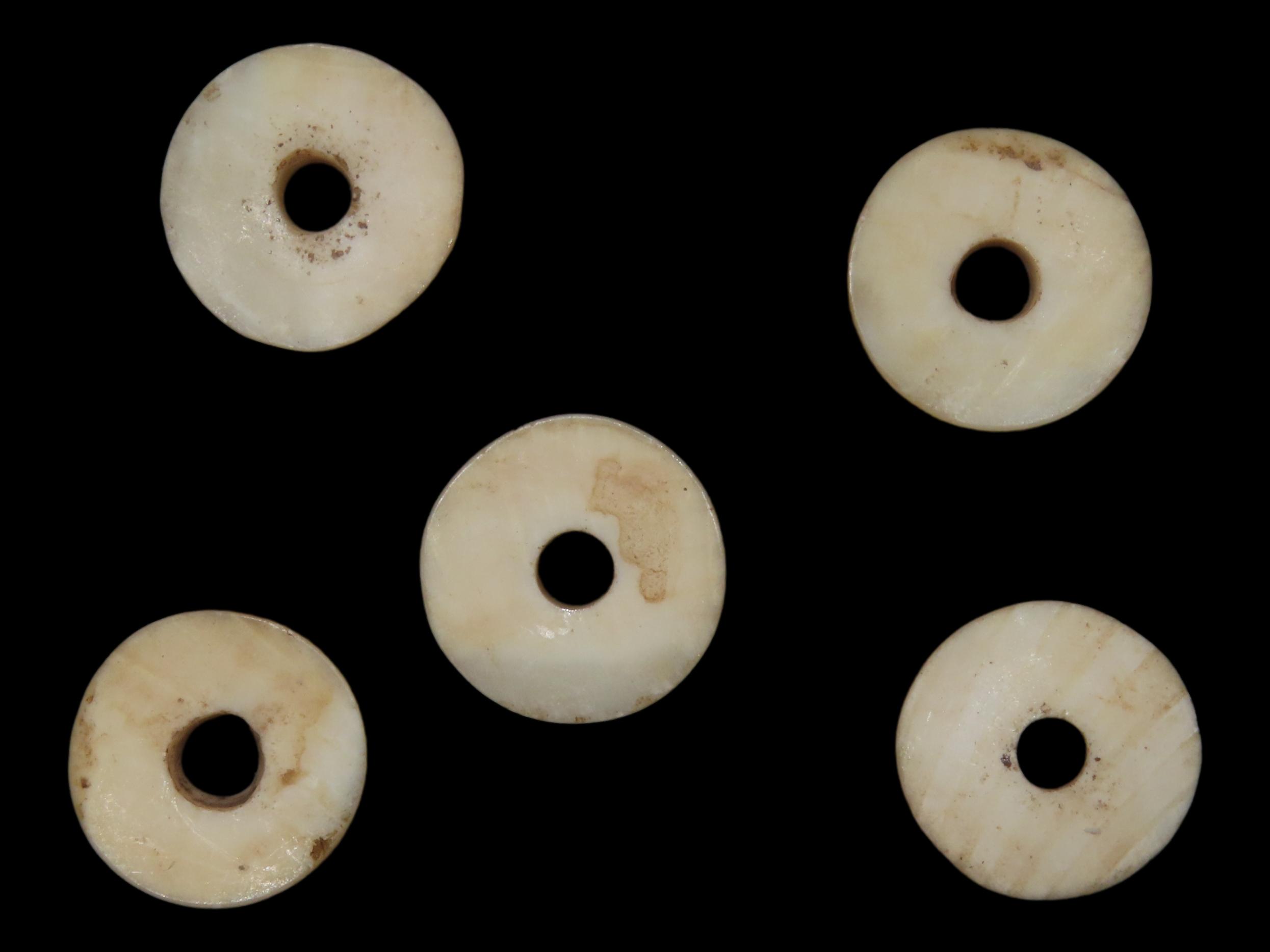 Nice Lot of Cahokia Shell Disc Beads found in Madison County Illinois.