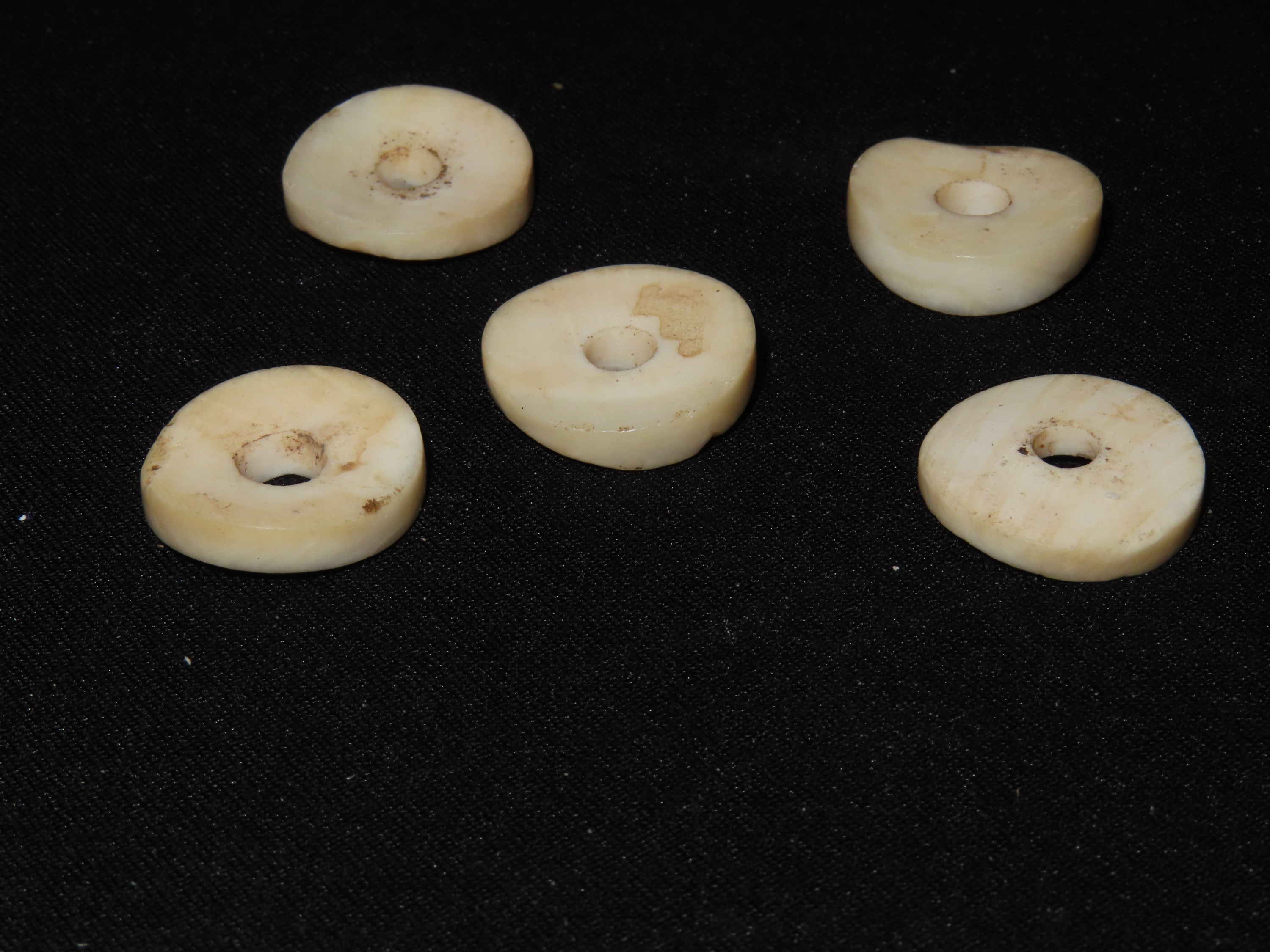 Nice Lot of Cahokia Shell Disc Beads found in Madison County Illinois.