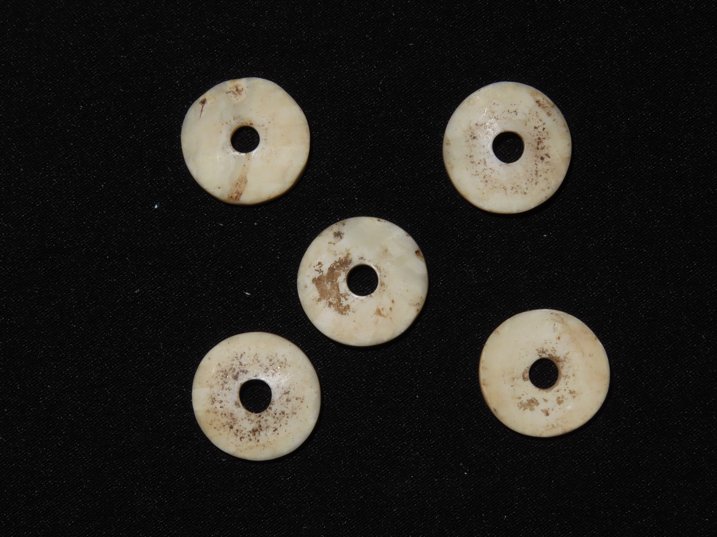 Nice Lot of Cahokia Shell Disc Beads found in Madison County Illinois.