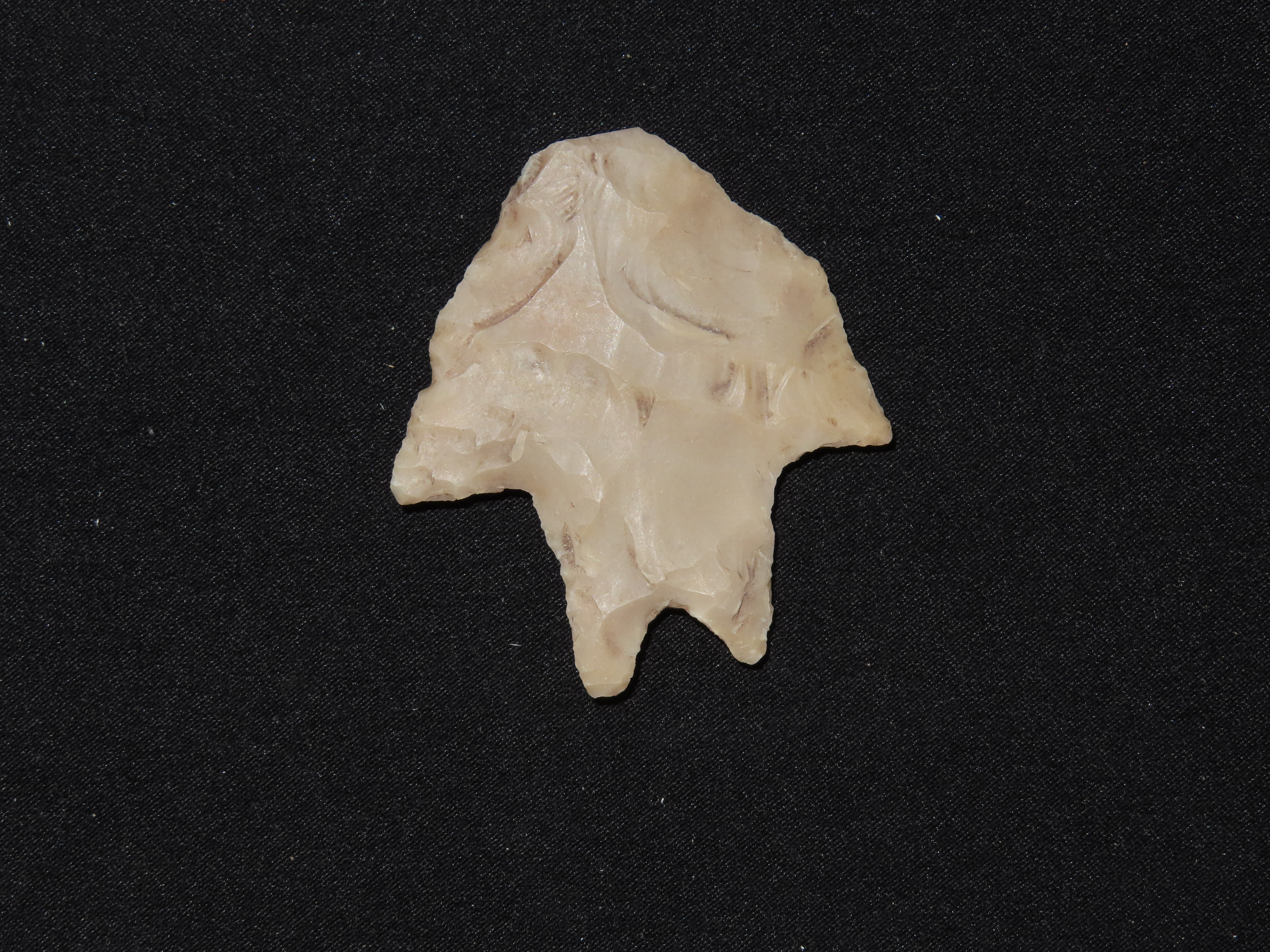 Nice Wide & Translucent Comanche Pedernales / Perf found in Uvalde County Texas. Indian Arrowhead.