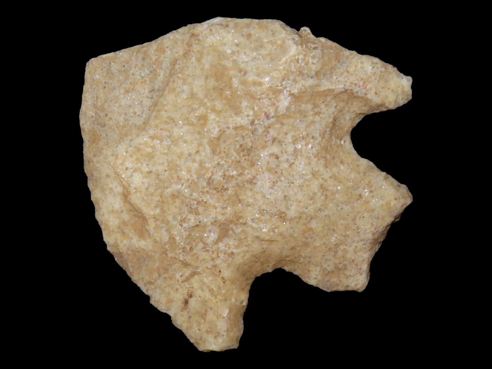 Nice Wade found in Northern Florida. Indian Arrowhead, Artifact.