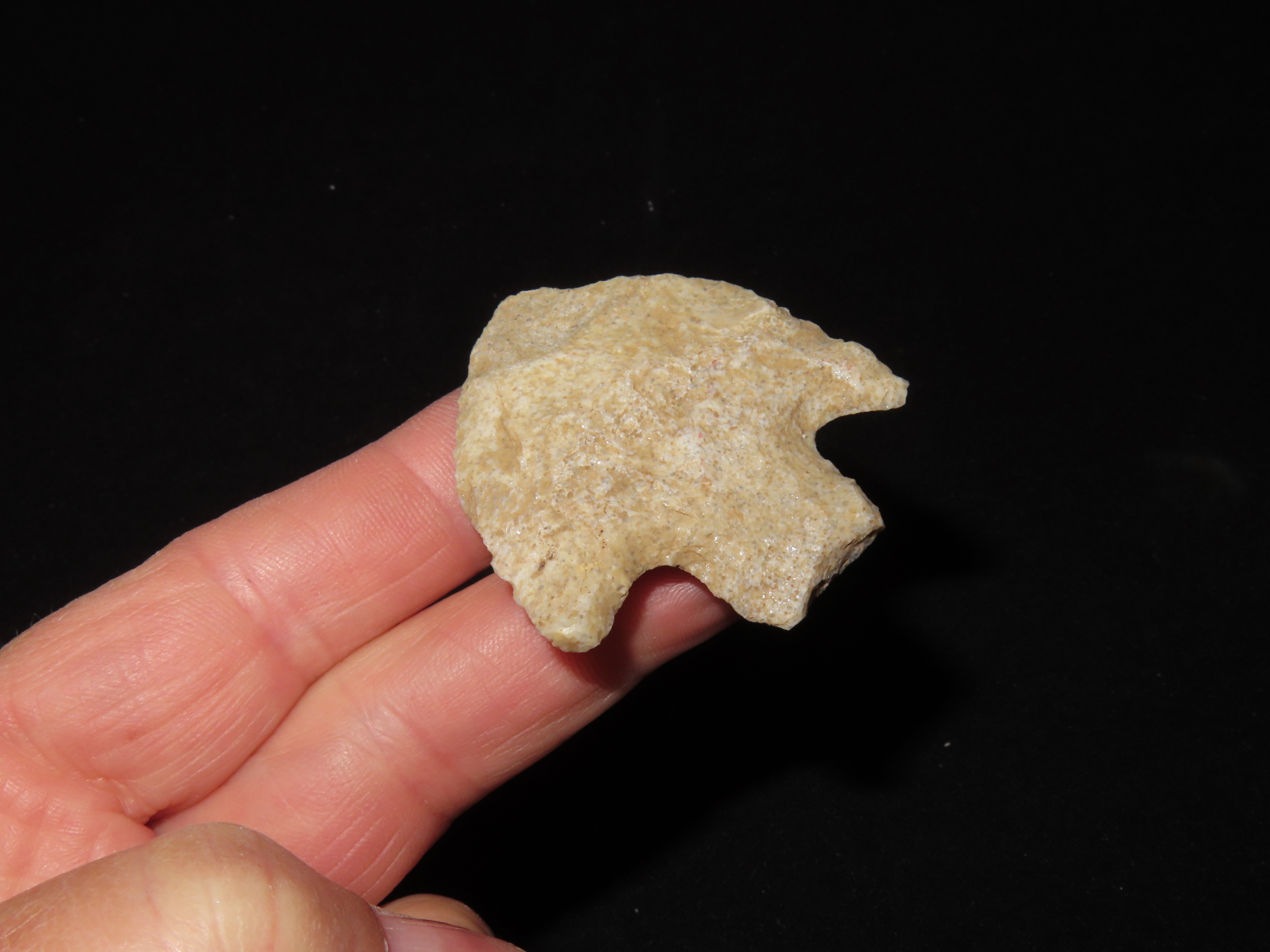 Nice Wade found in Northern Florida. Indian Arrowhead, Artifact.