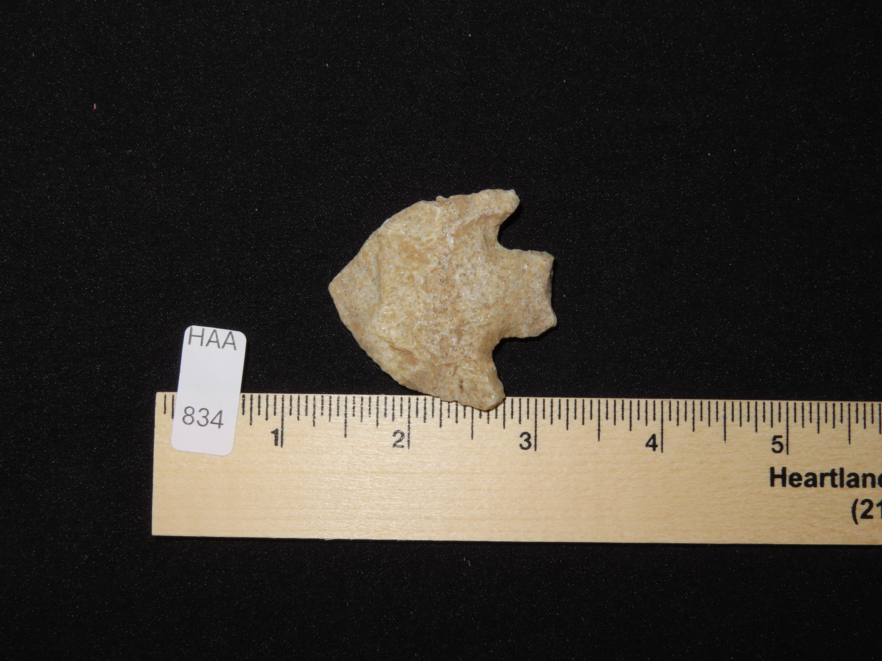 Nice Wade found in Northern Florida. Indian Arrowhead, Artifact.