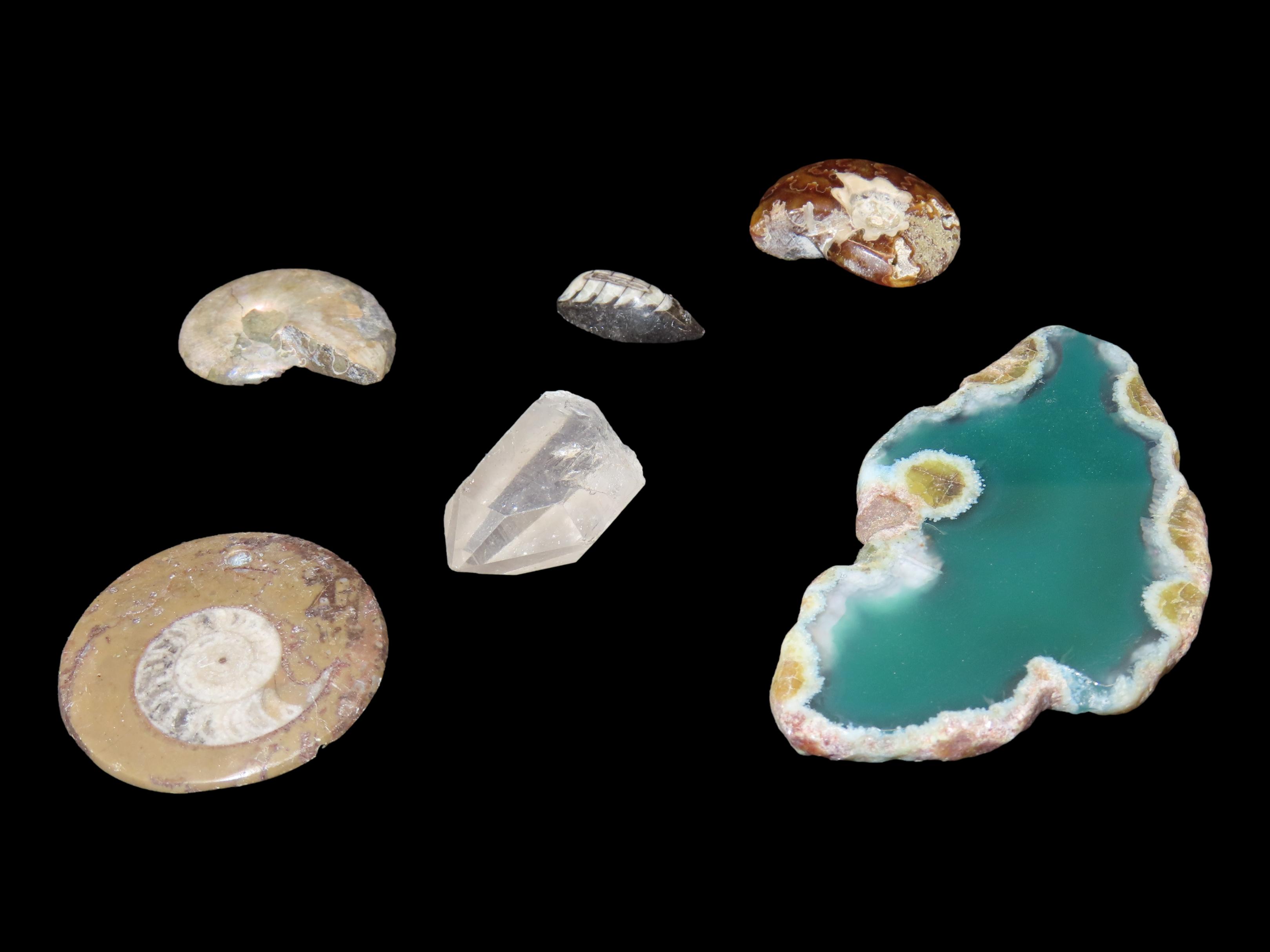 Nice Group Lot of Fossils & Minerals, Orthoceras, Agate Slice, Crystal Quartz, and several different Ammonites