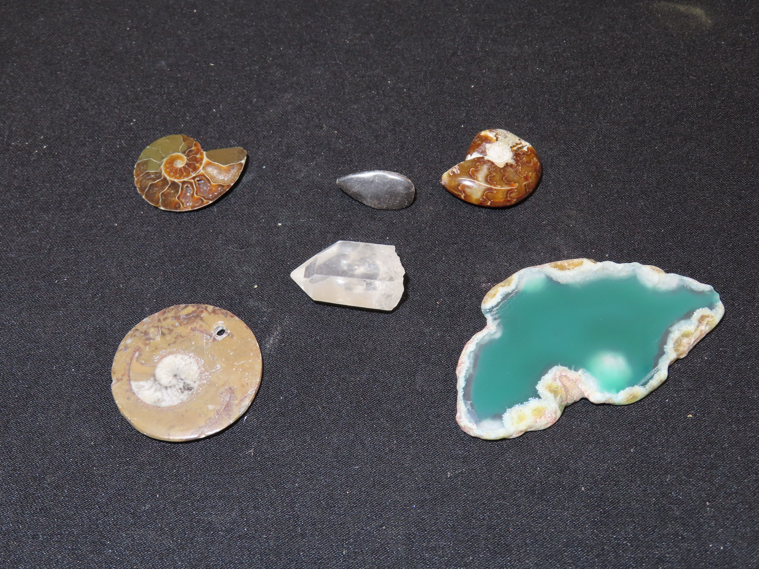 Nice Group Lot of Fossils & Minerals, Orthoceras, Agate Slice, Crystal Quartz, and several different Ammonites