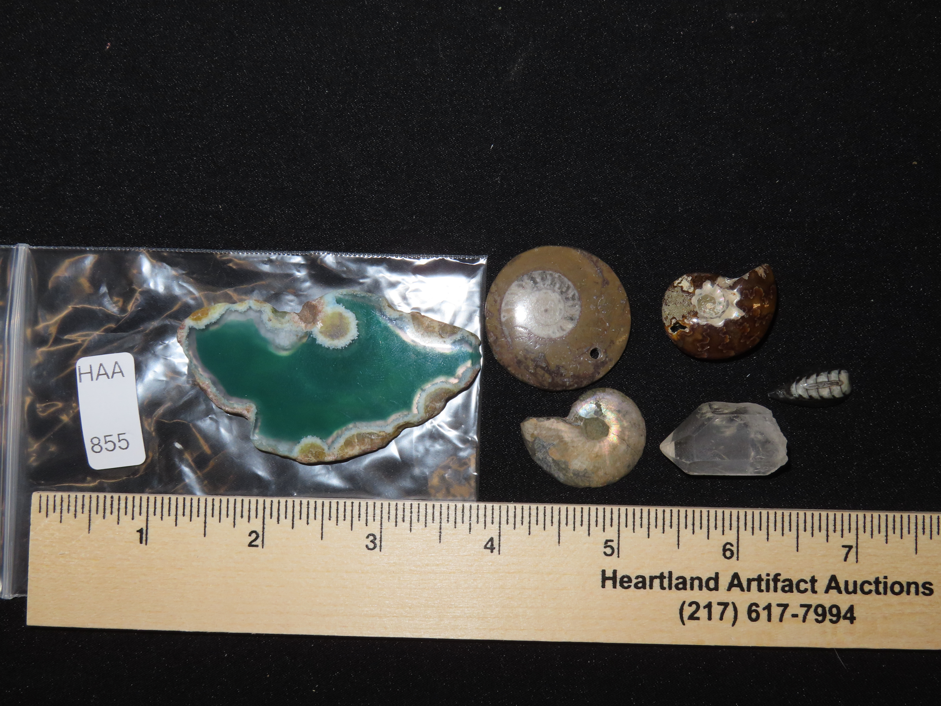 Nice Group Lot of Fossils & Minerals, Orthoceras, Agate Slice, Crystal Quartz, and several different Ammonites