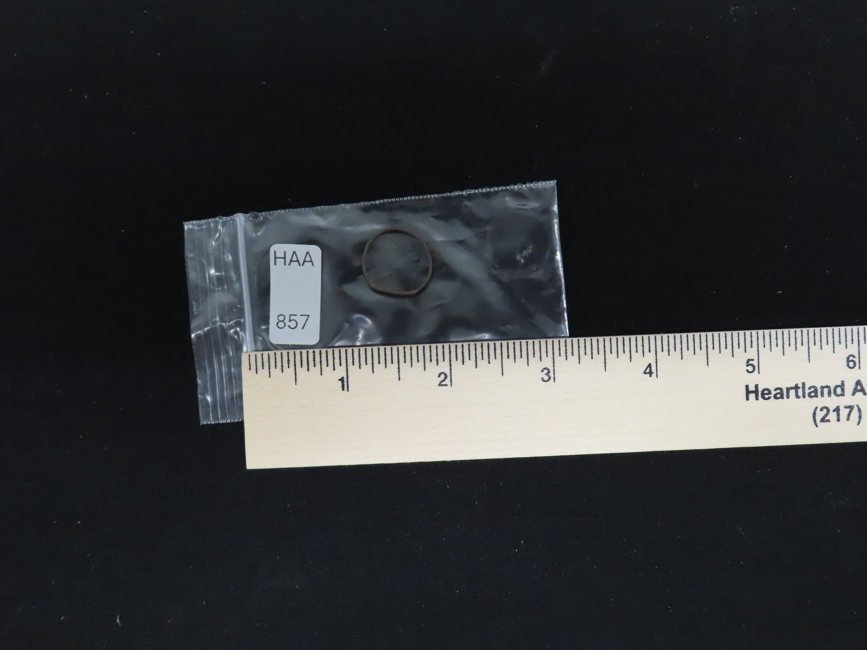 Historic Fur Trade Copper Ring found at Indian Campsite in New York.
