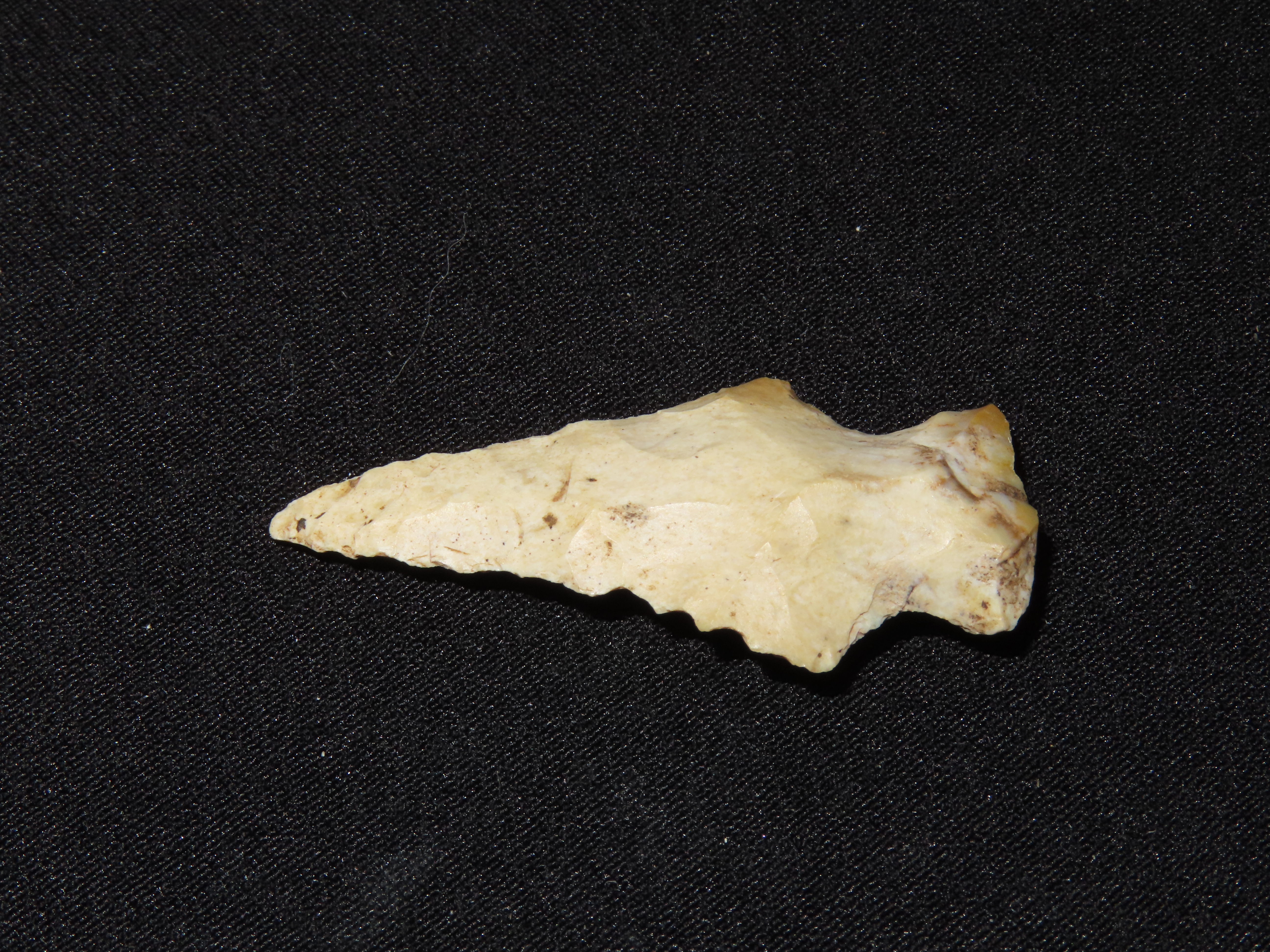Nice Bolen Bevel found in Southern Georgia, Indian Arrowhead, Artifact.