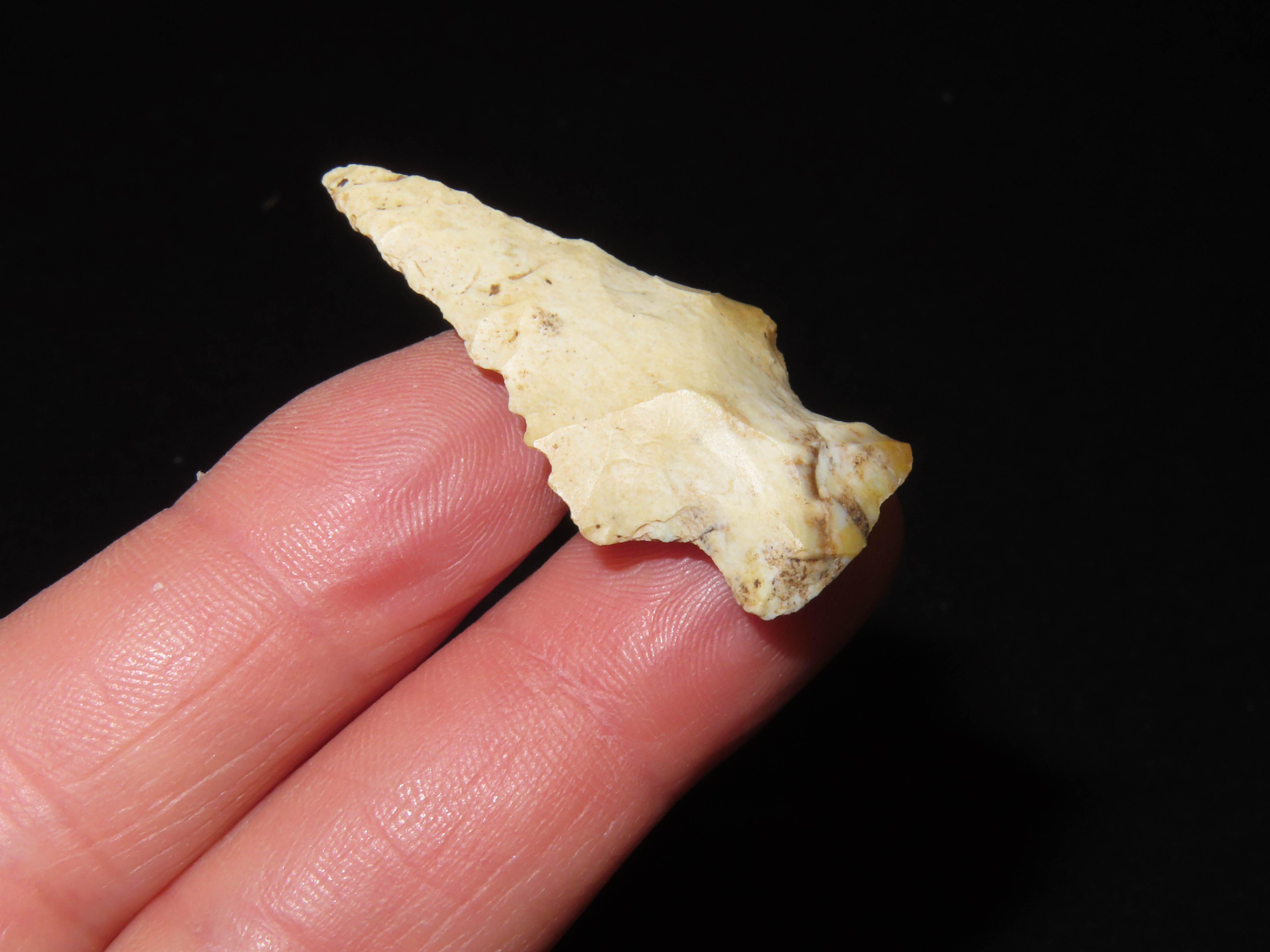 Nice Bolen Bevel found in Southern Georgia, Indian Arrowhead, Artifact.