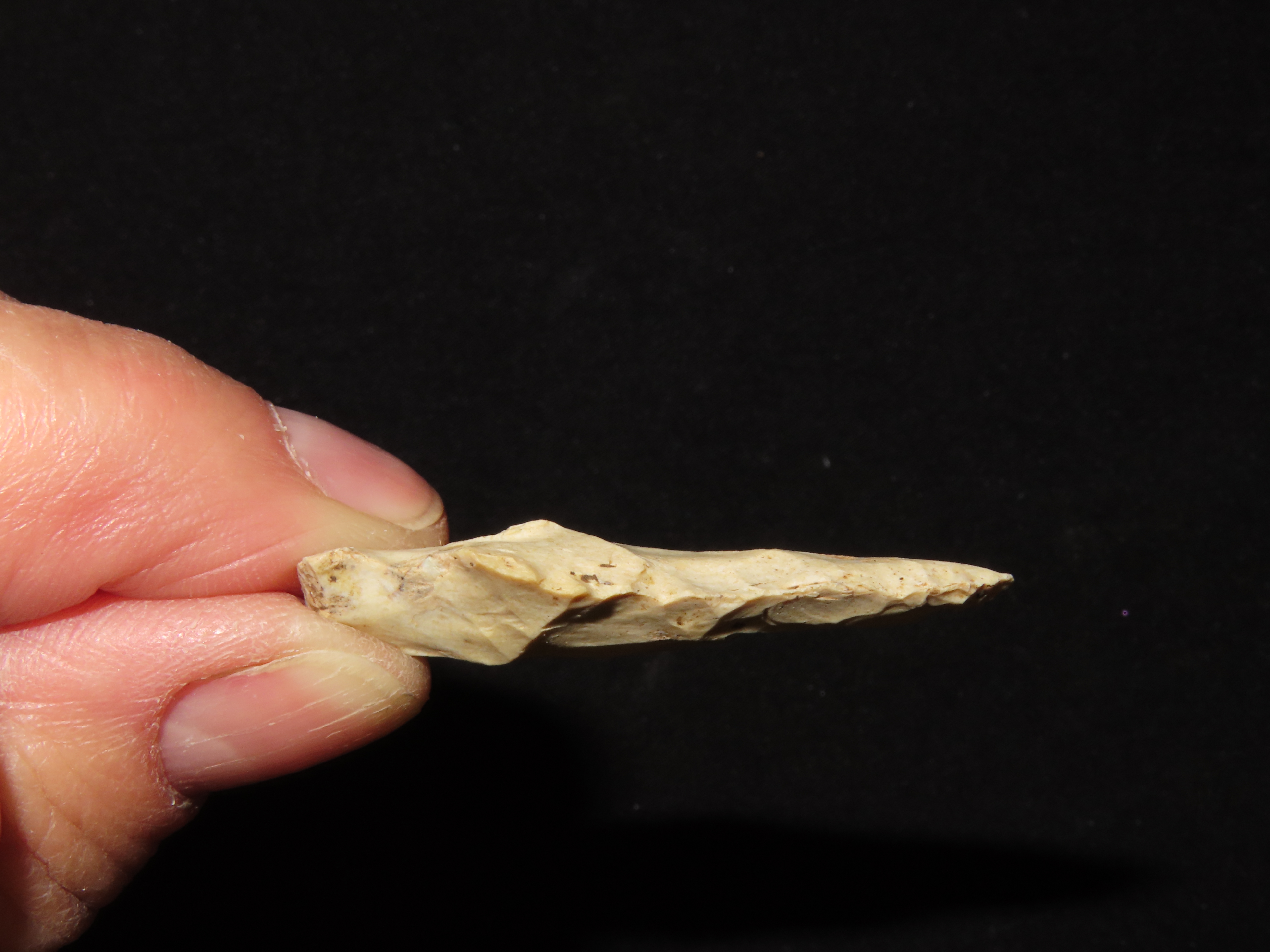 Nice Bolen Bevel found in Southern Georgia, Indian Arrowhead, Artifact.